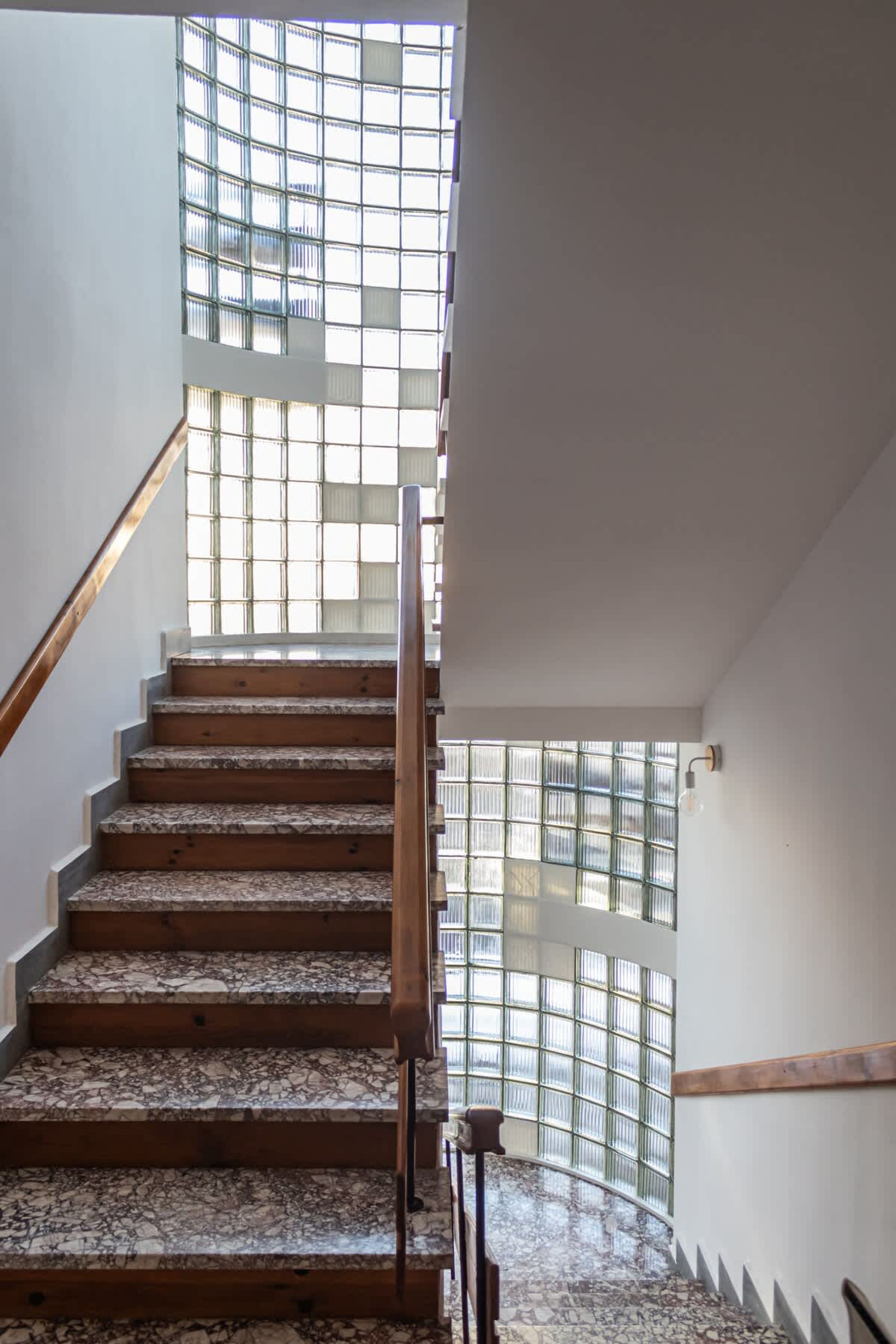 Scoutaround White Logo