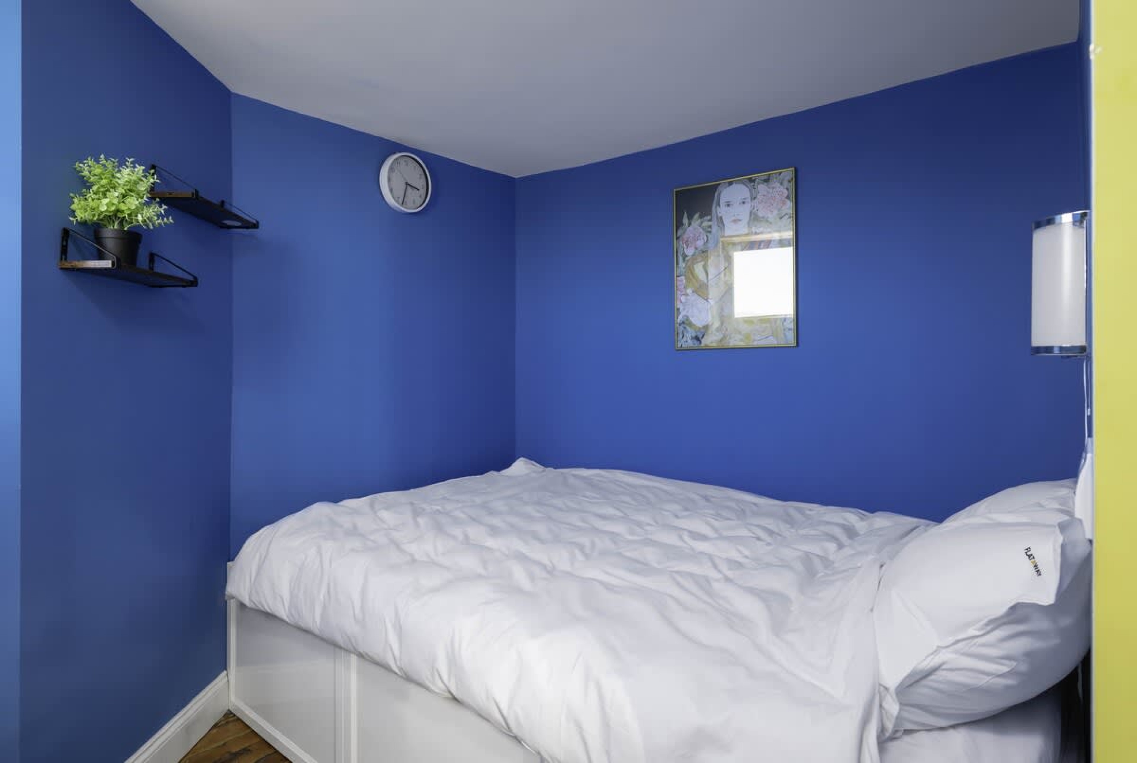 Scoutaround White Logo