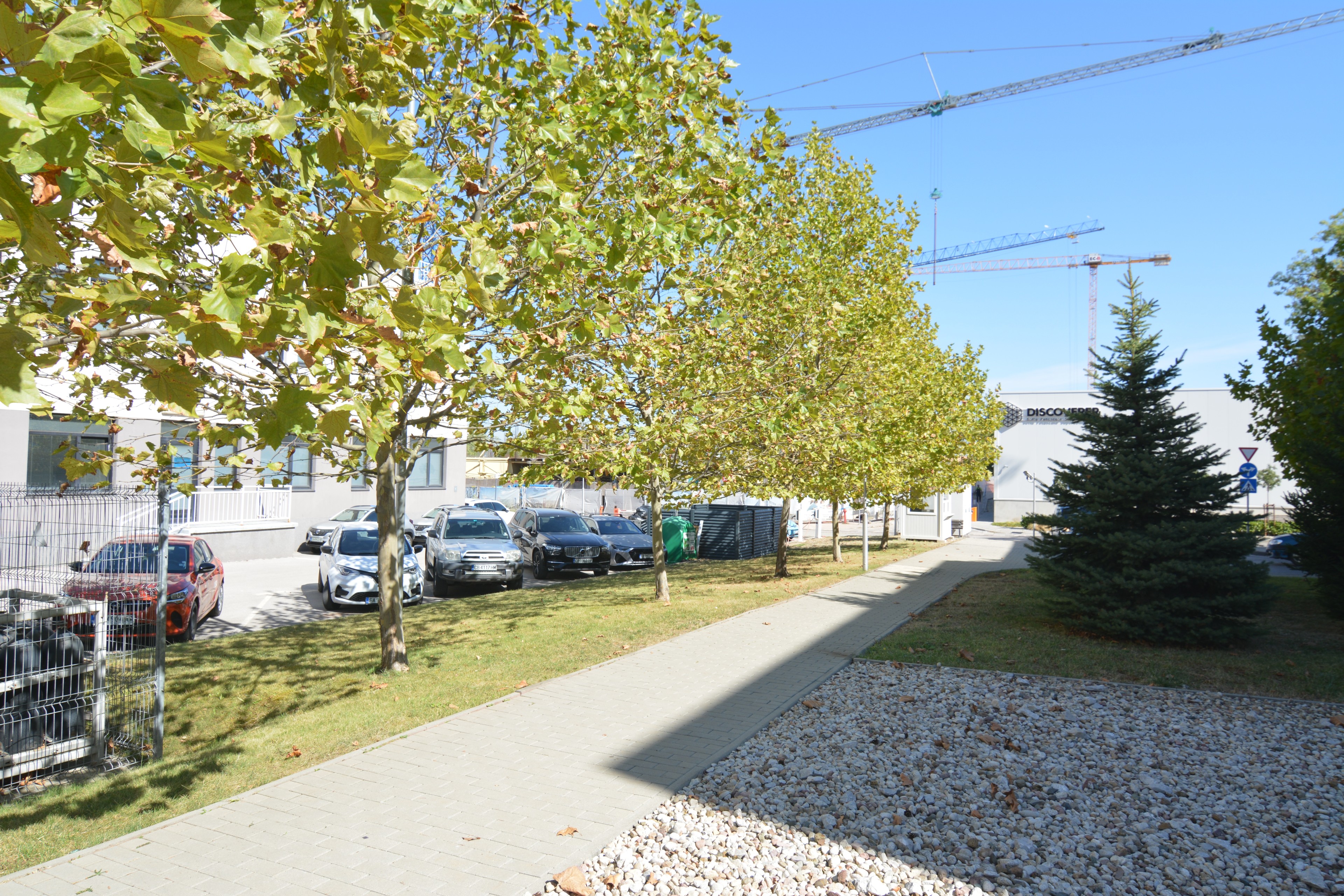 Scoutaround White Logo