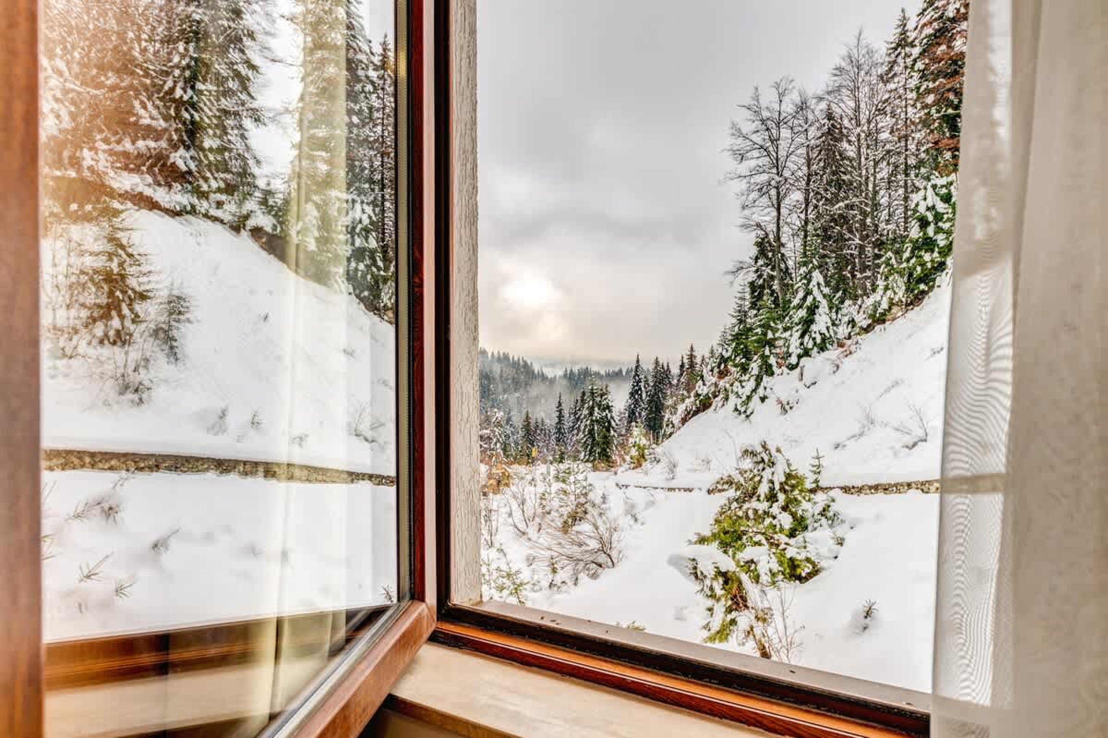 Scoutaround White Logo