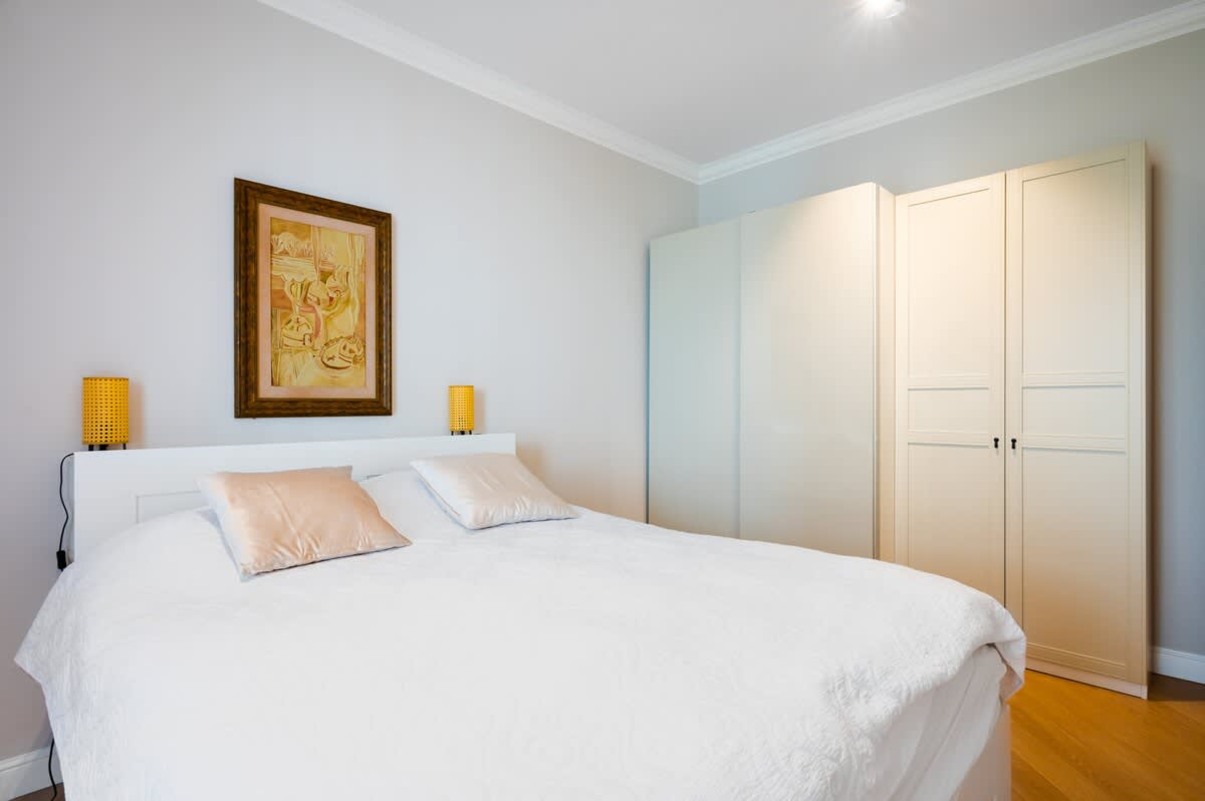 Scoutaround White Logo