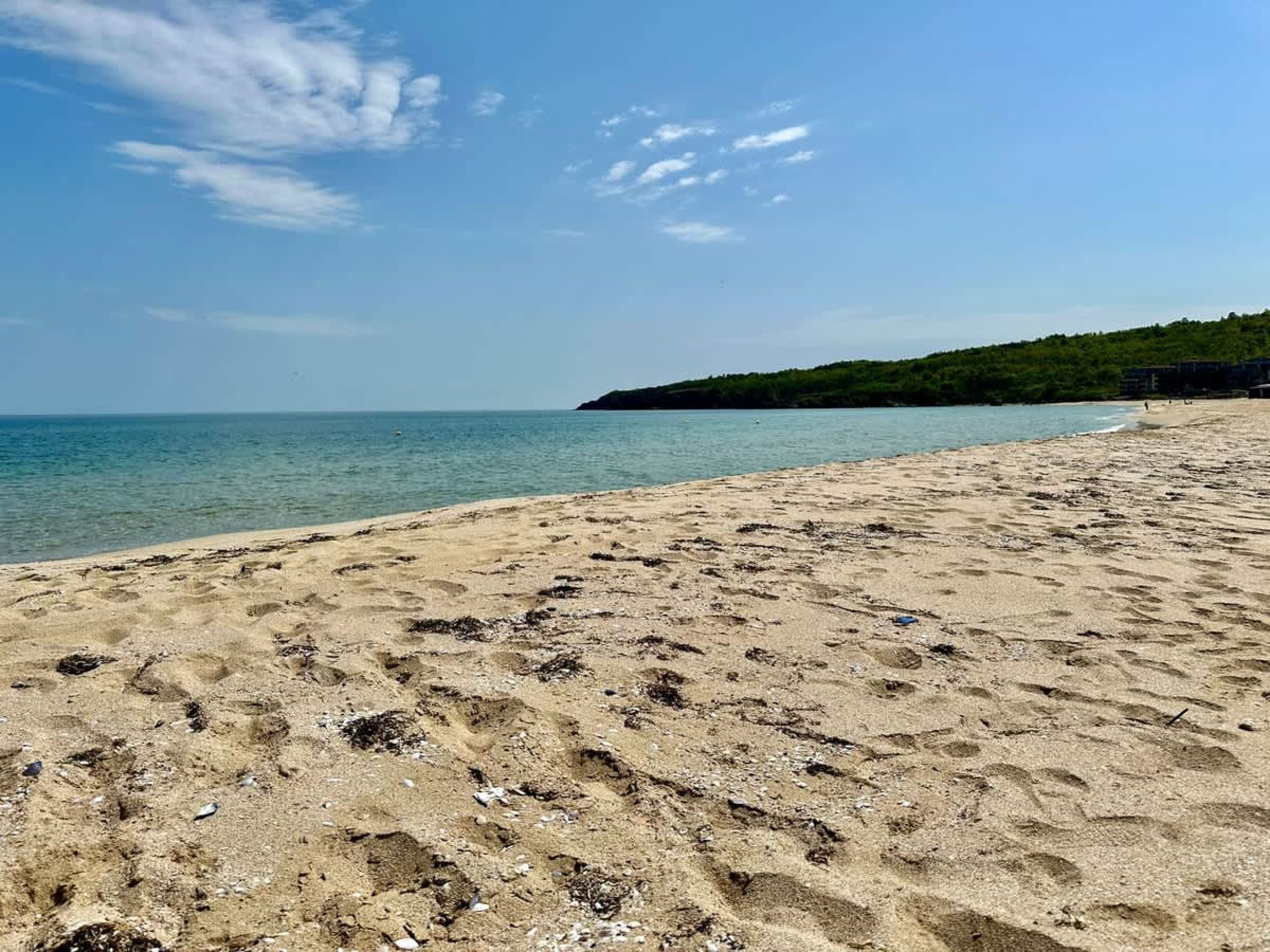 Scoutaround White Logo