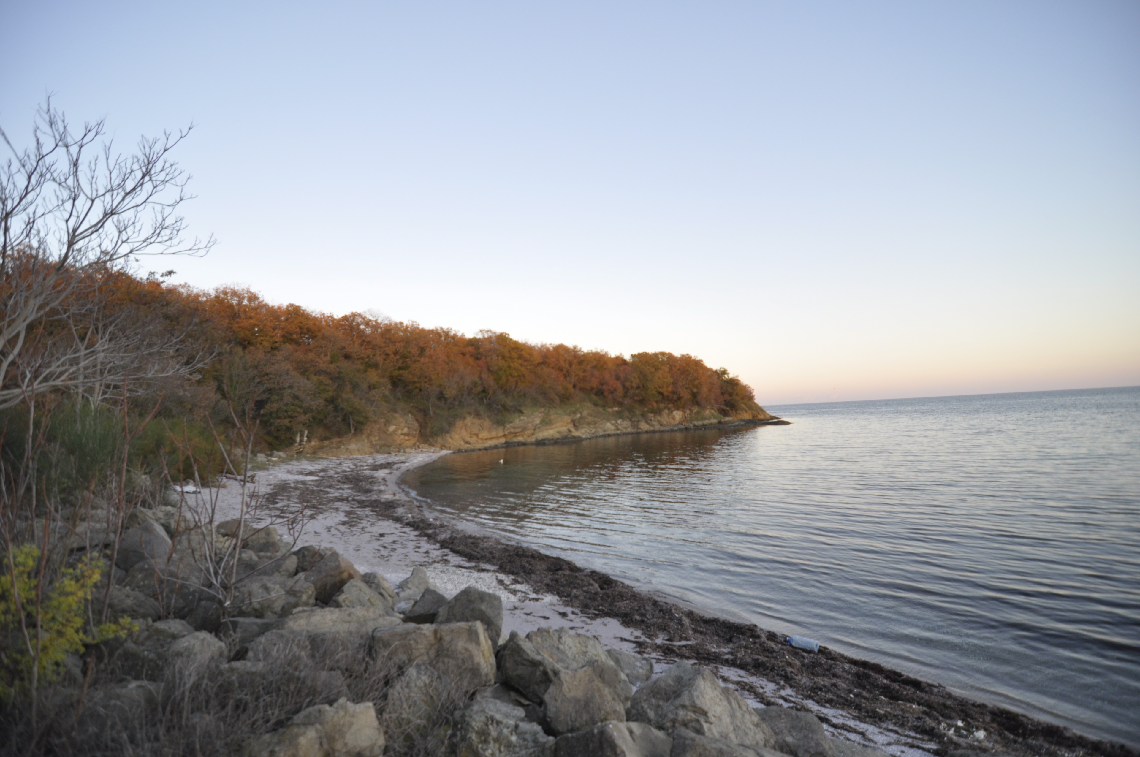 Scoutaround White Logo