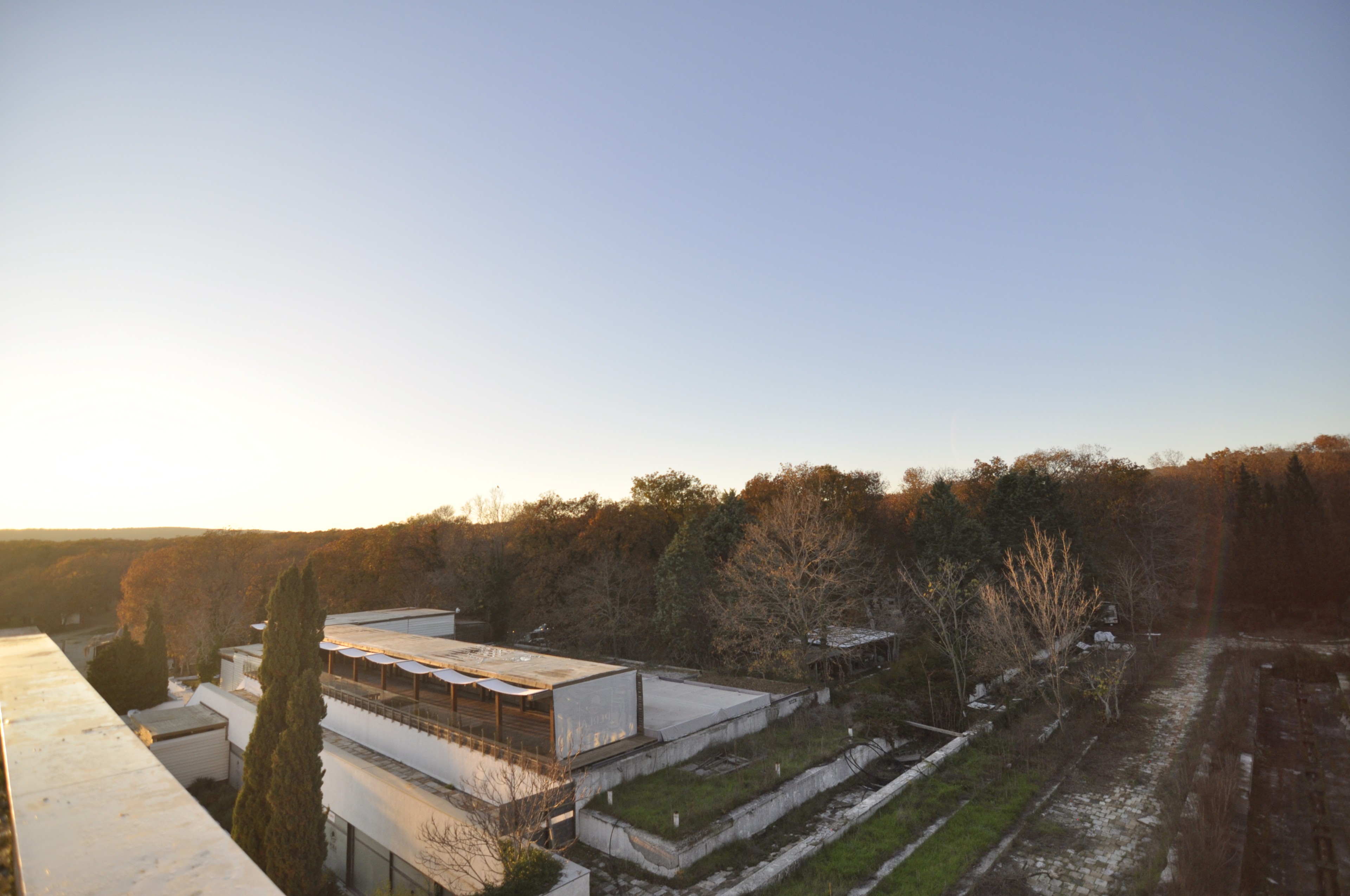 Scoutaround White Logo