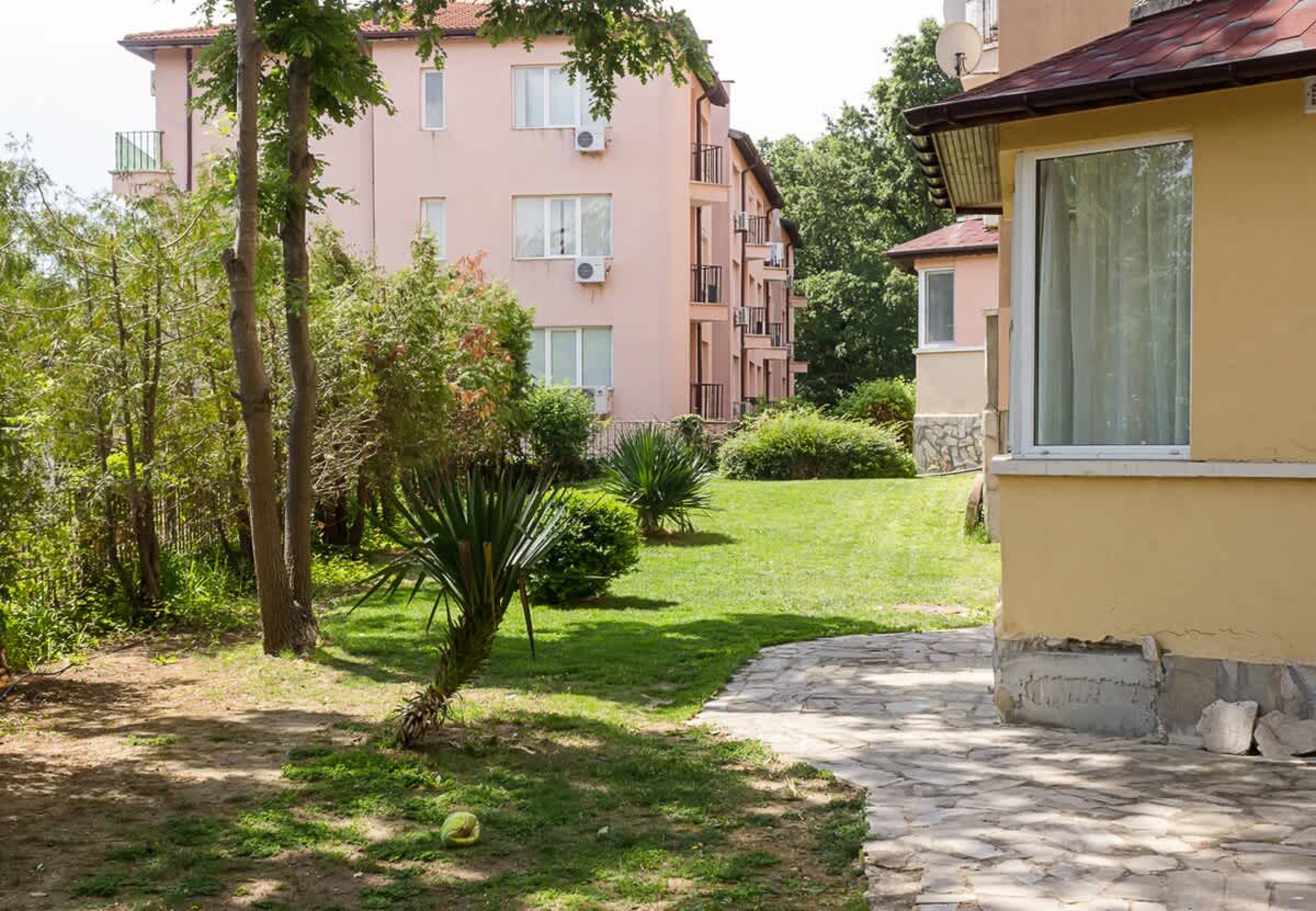 Scoutaround White Logo