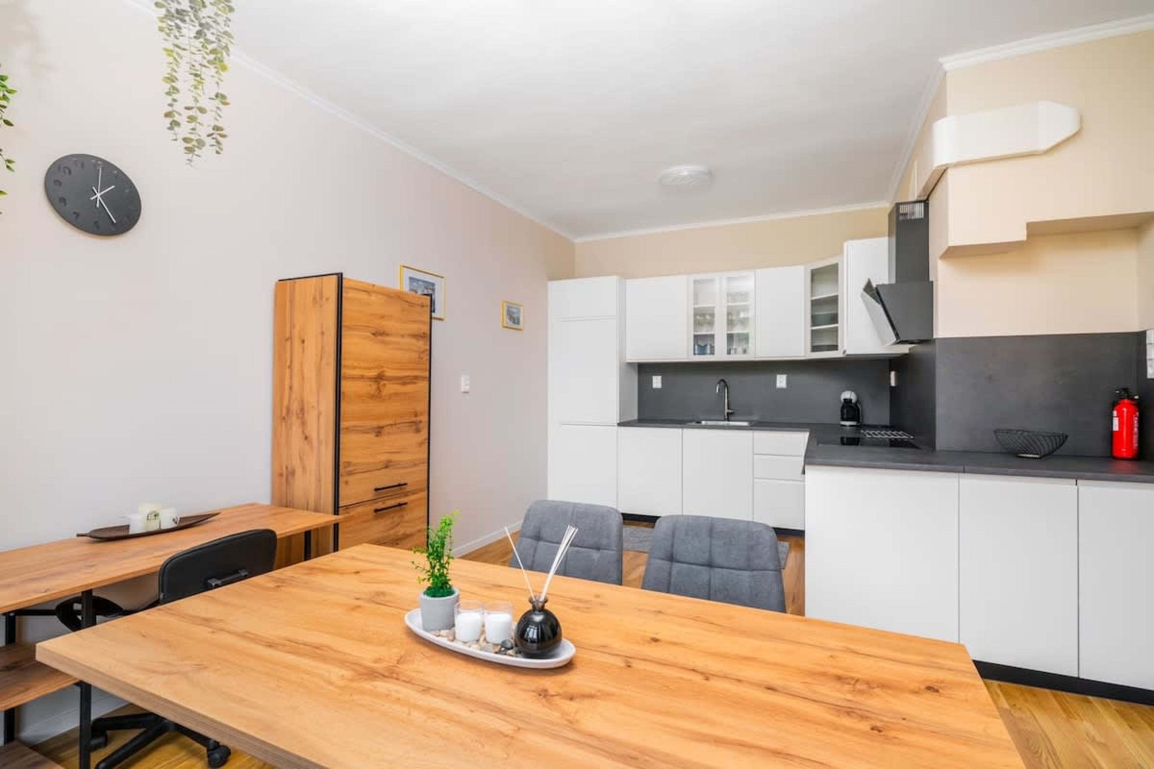 Scoutaround White Logo