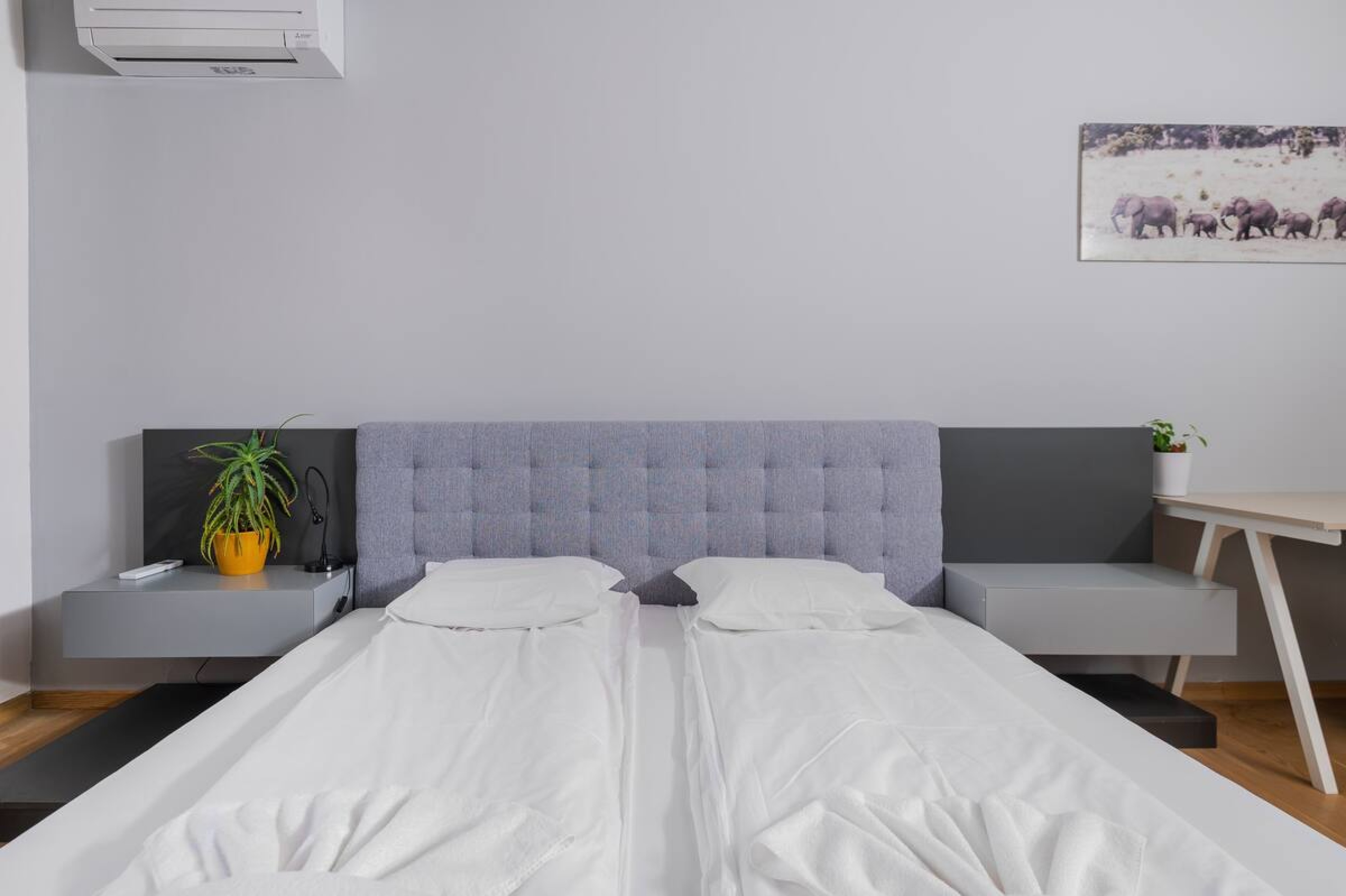 Scoutaround White Logo