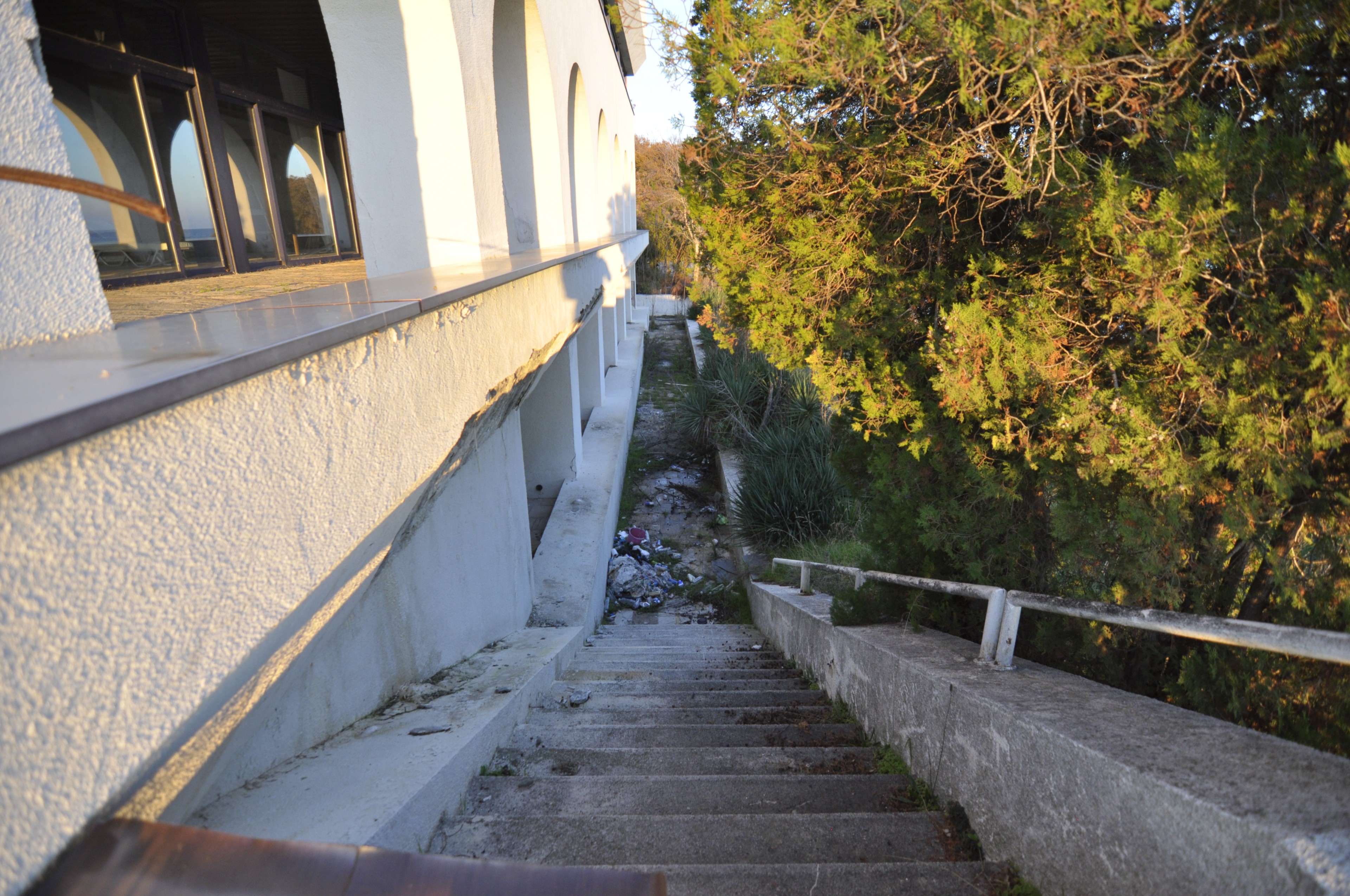 Scoutaround White Logo