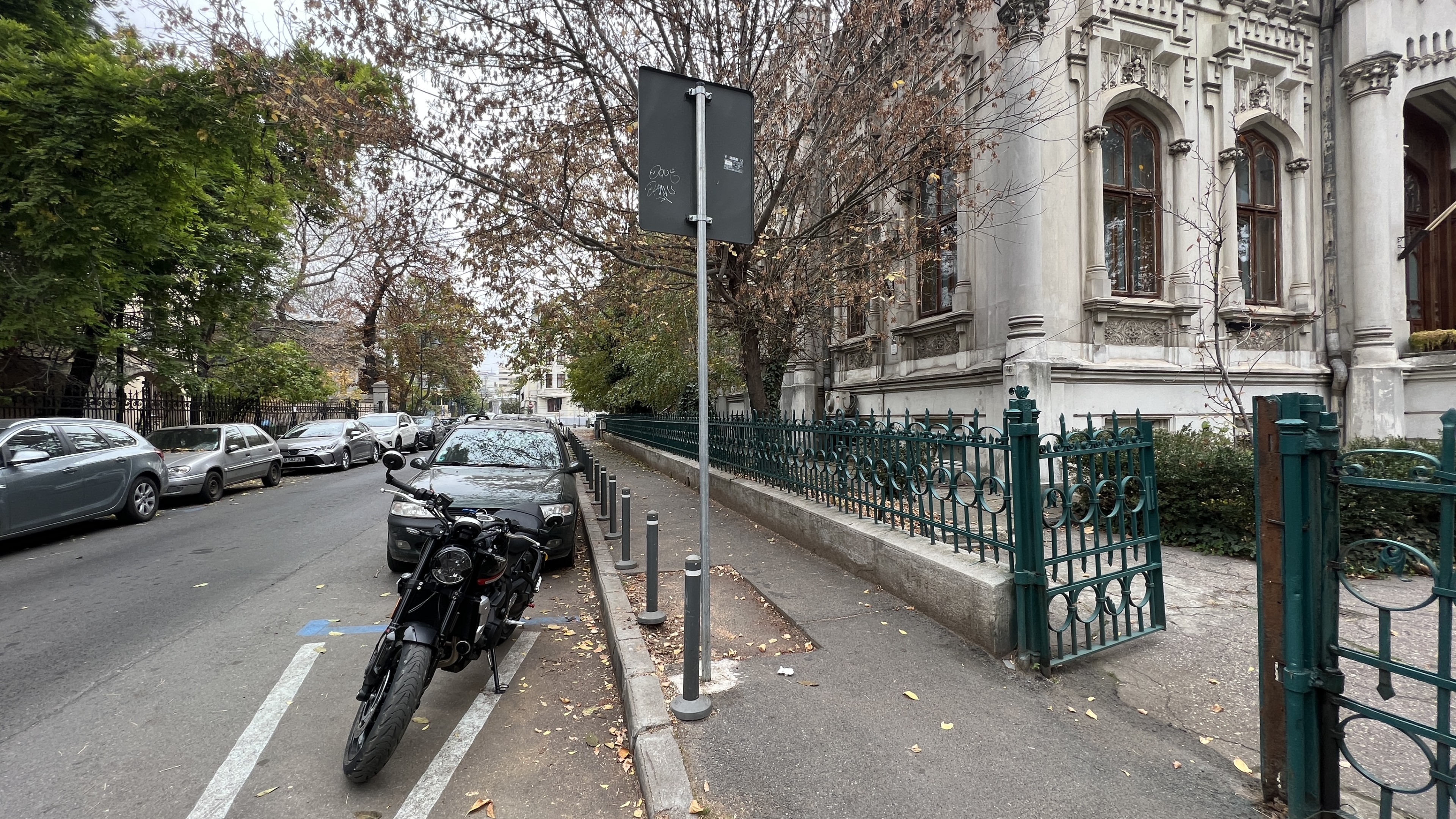 Scoutaround White Logo