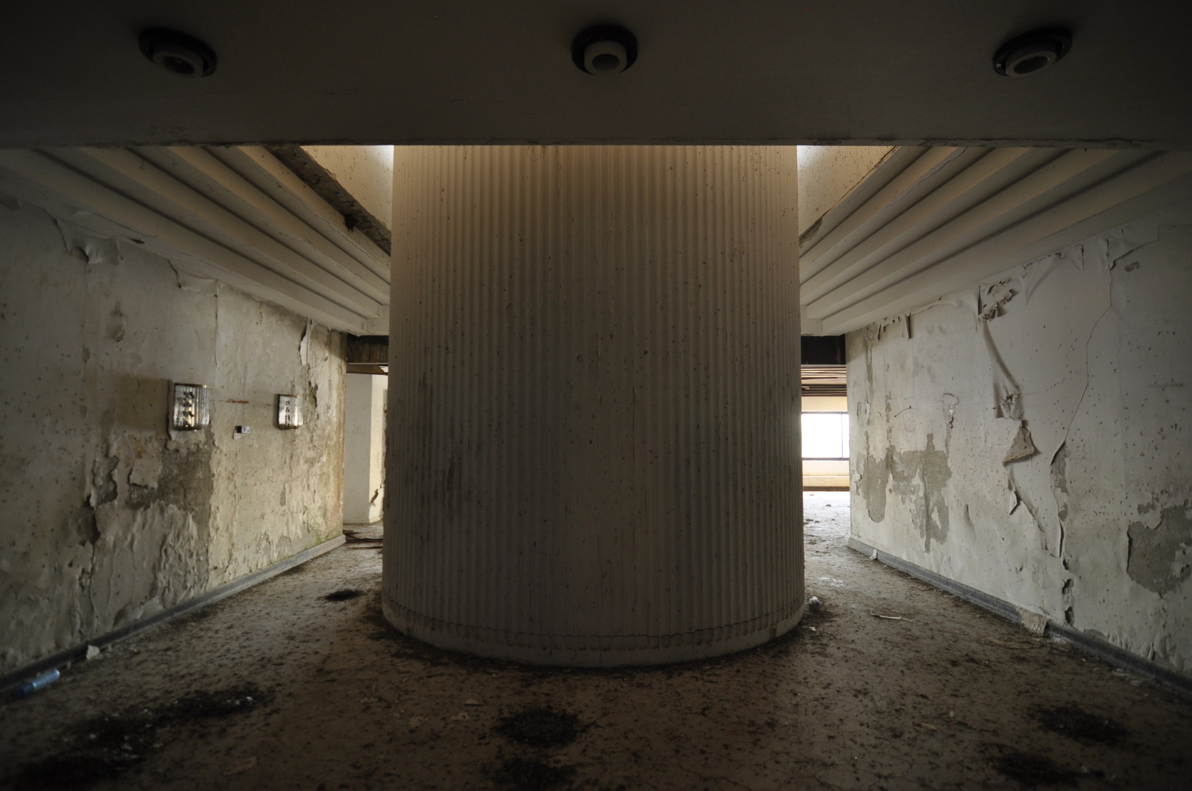 Scoutaround White Logo