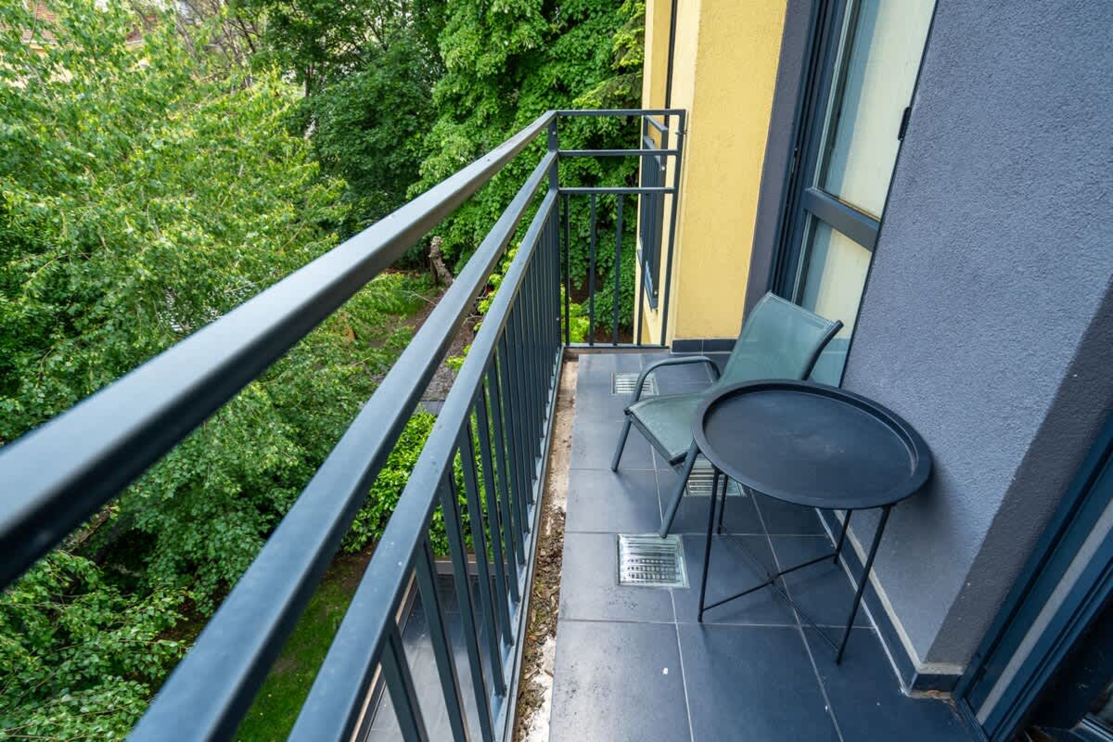 Scoutaround White Logo