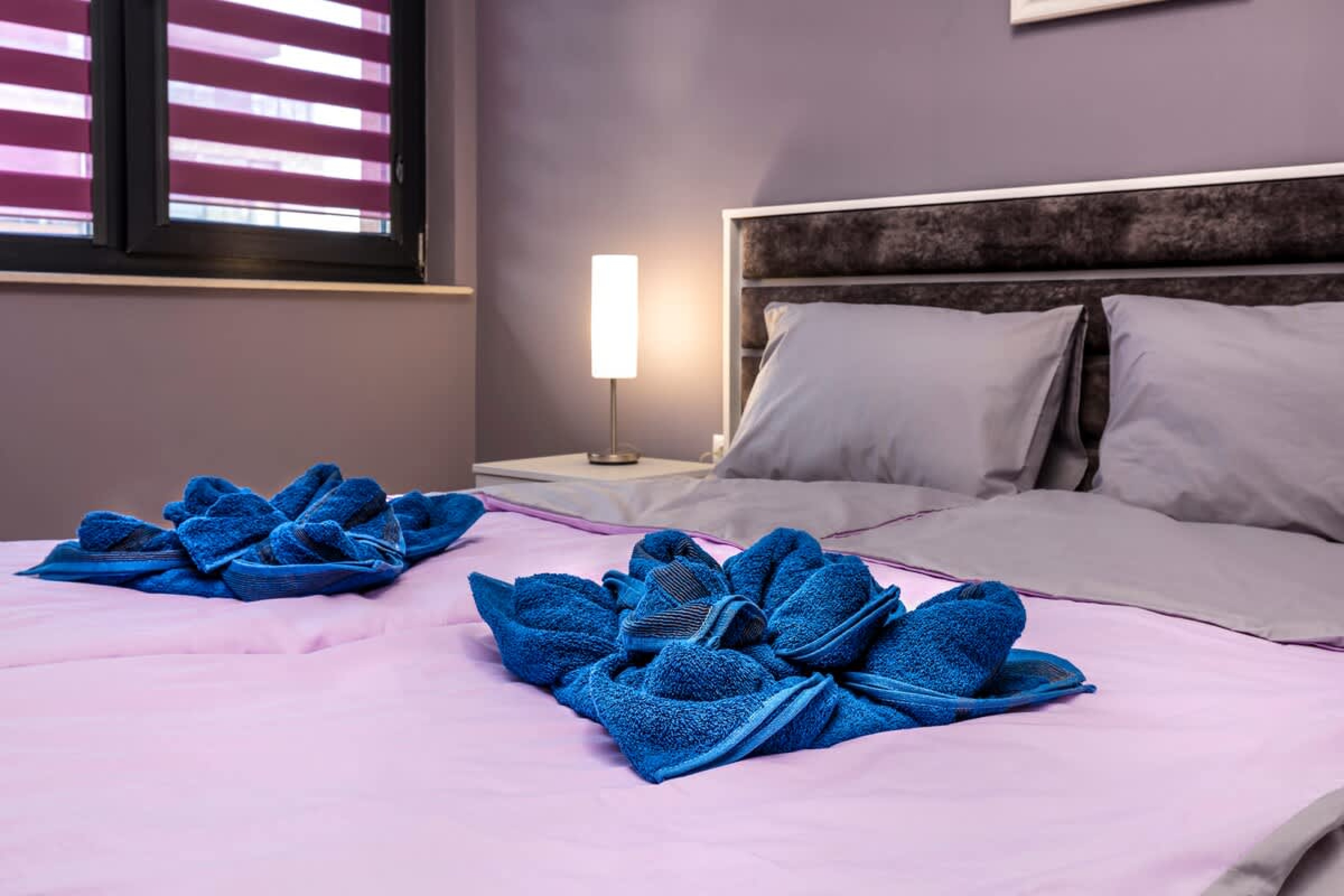 Scoutaround White Logo