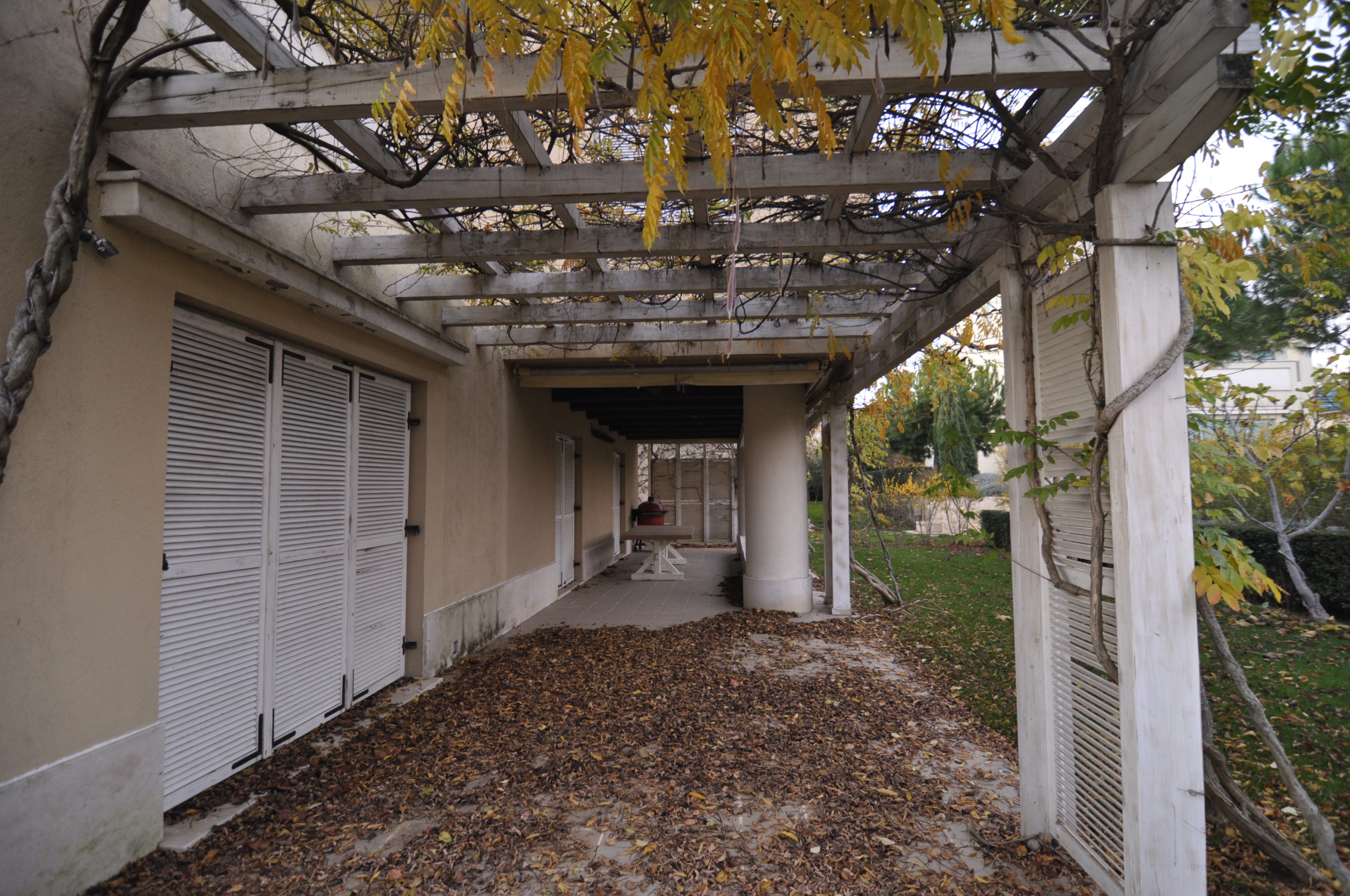 Scoutaround White Logo