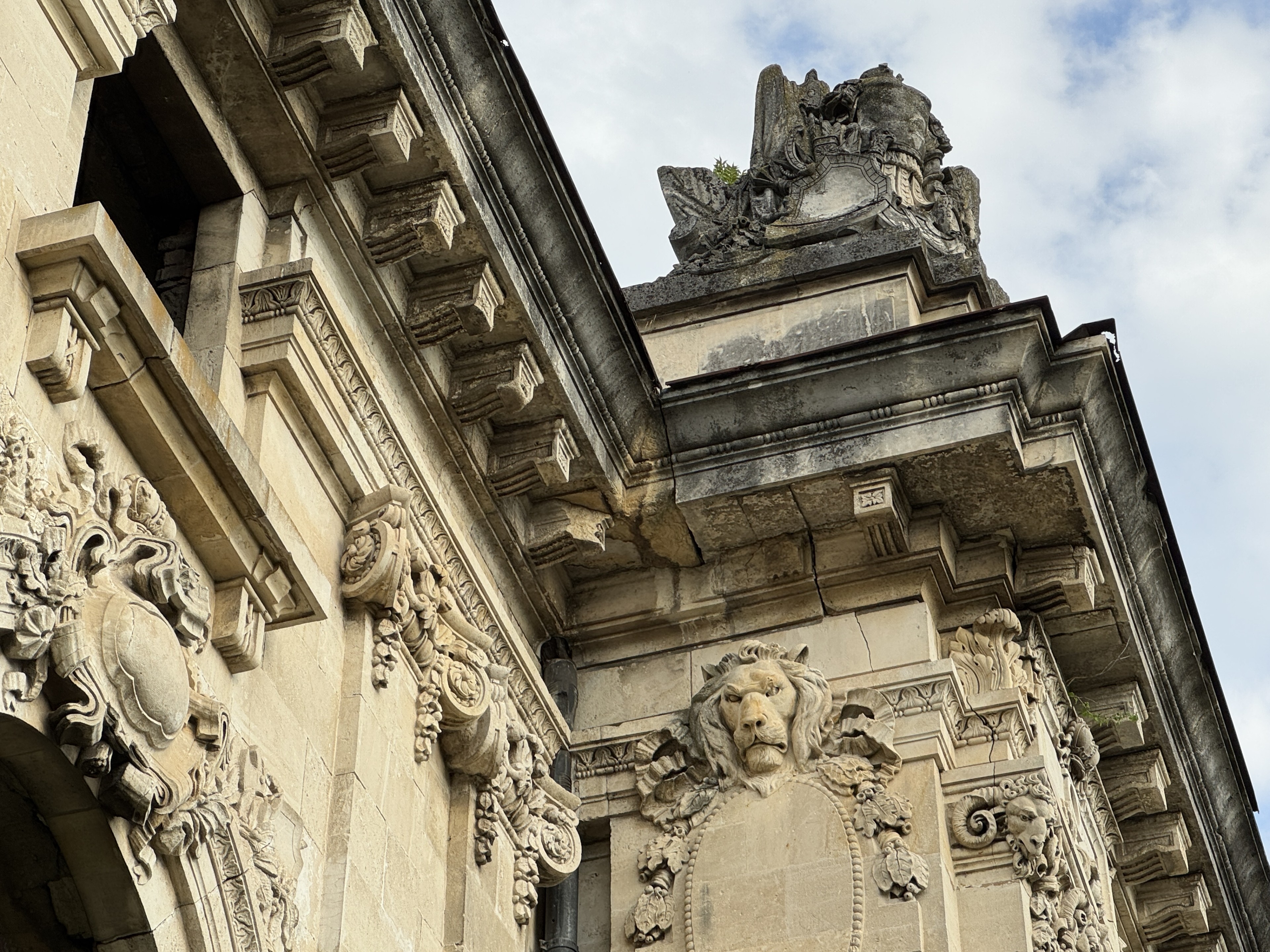 Scoutaround White Logo