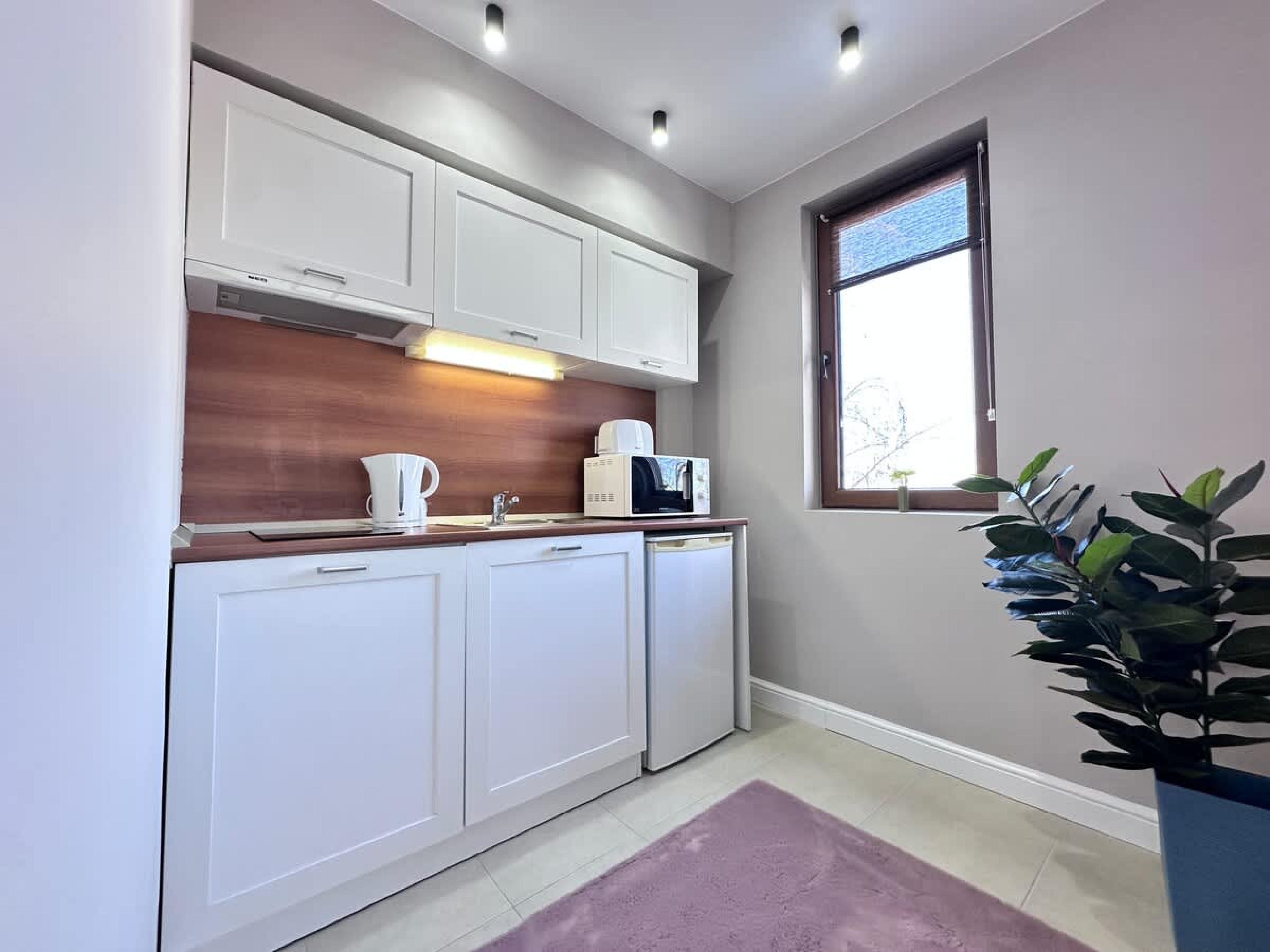 Scoutaround White Logo