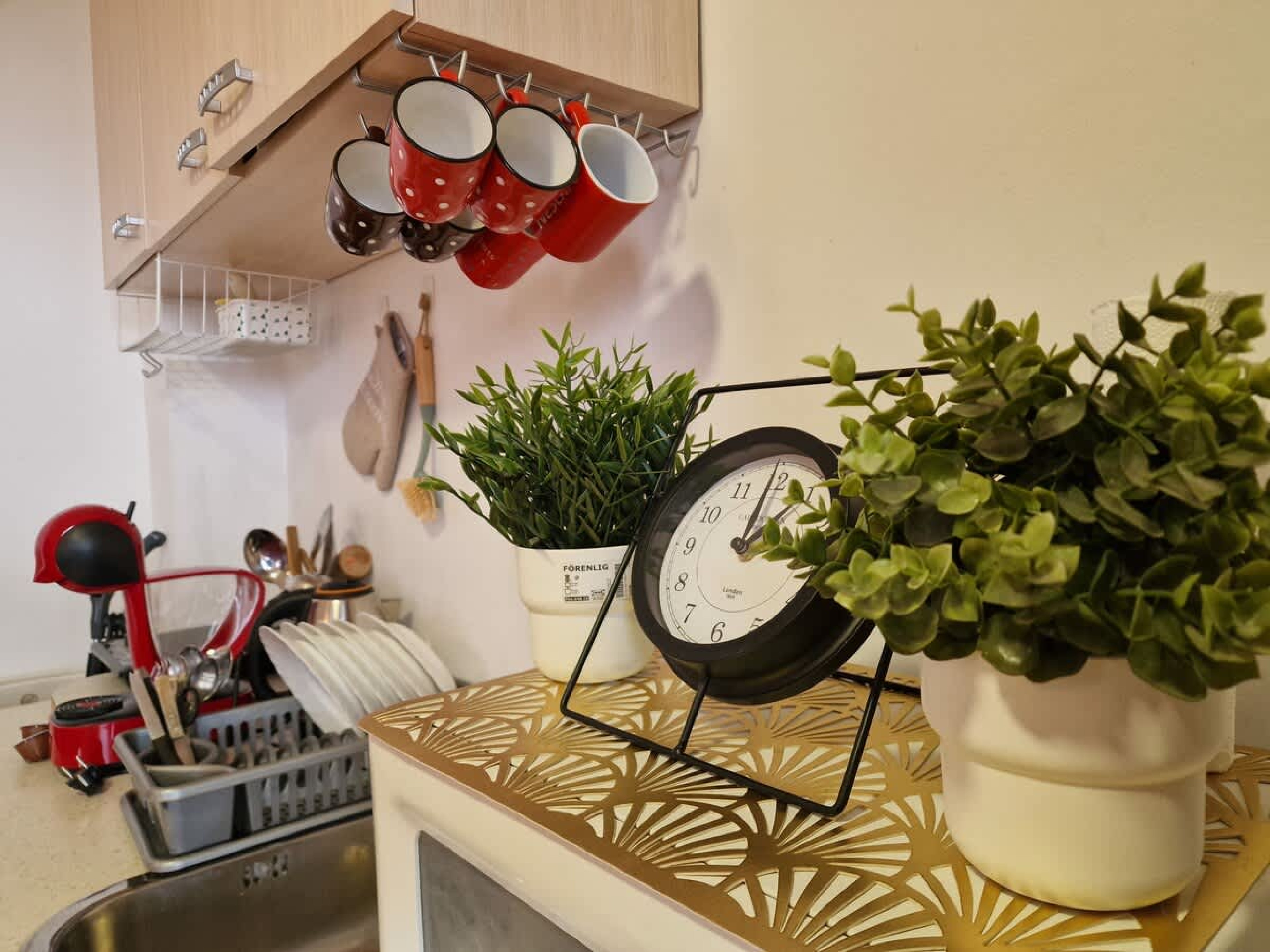 Scoutaround White Logo