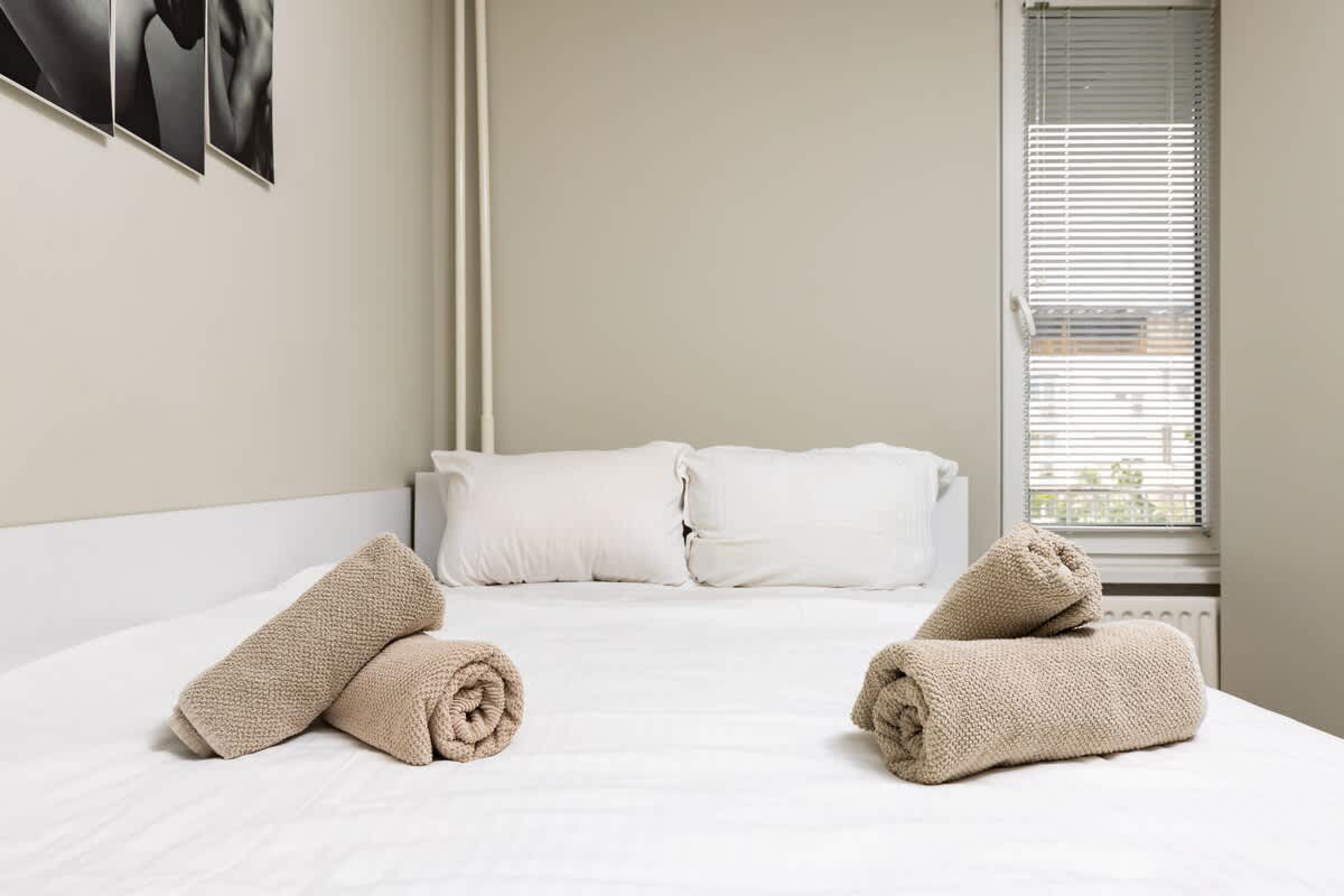 Scoutaround White Logo