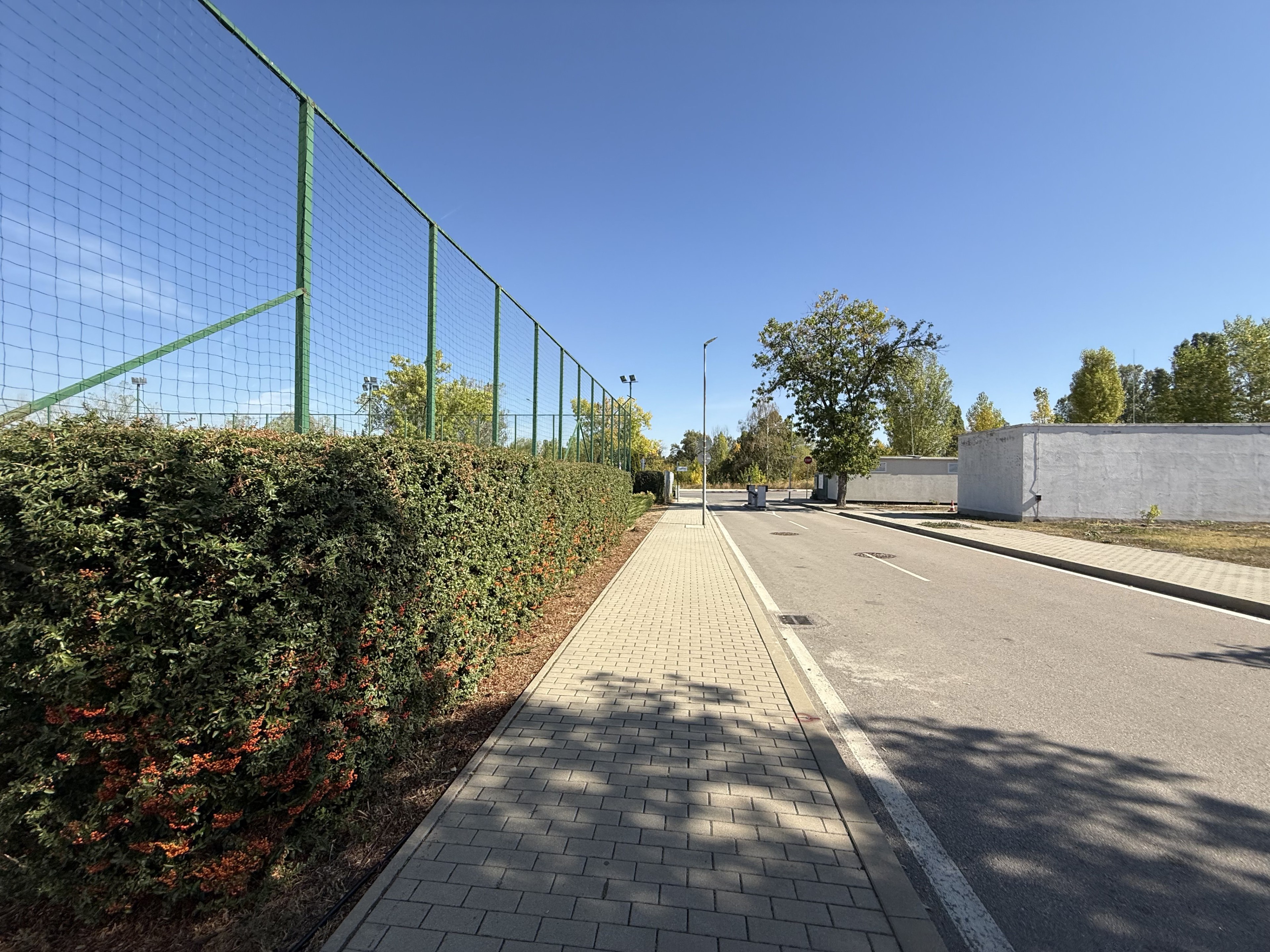 Scoutaround White Logo