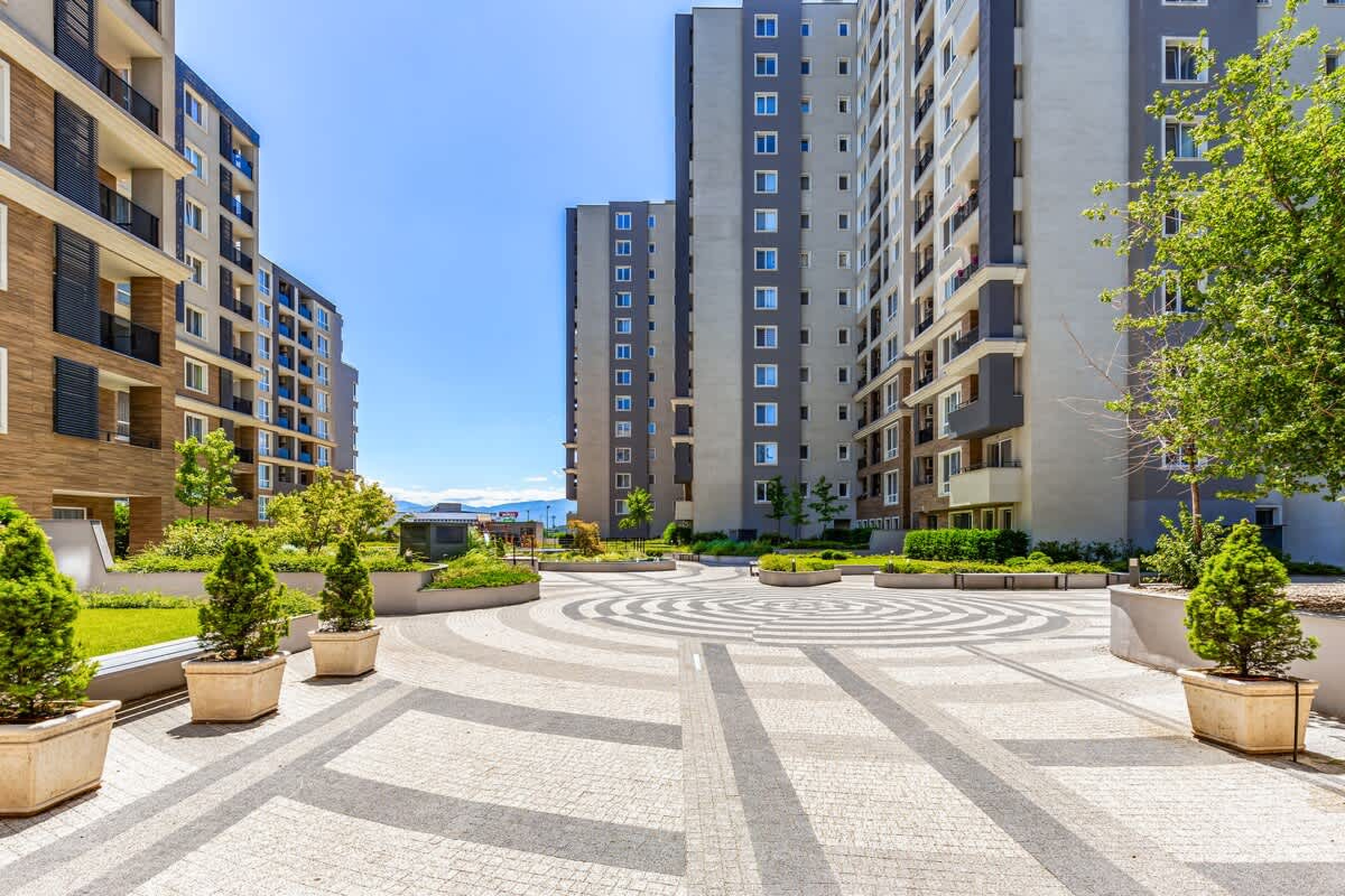 Scoutaround White Logo