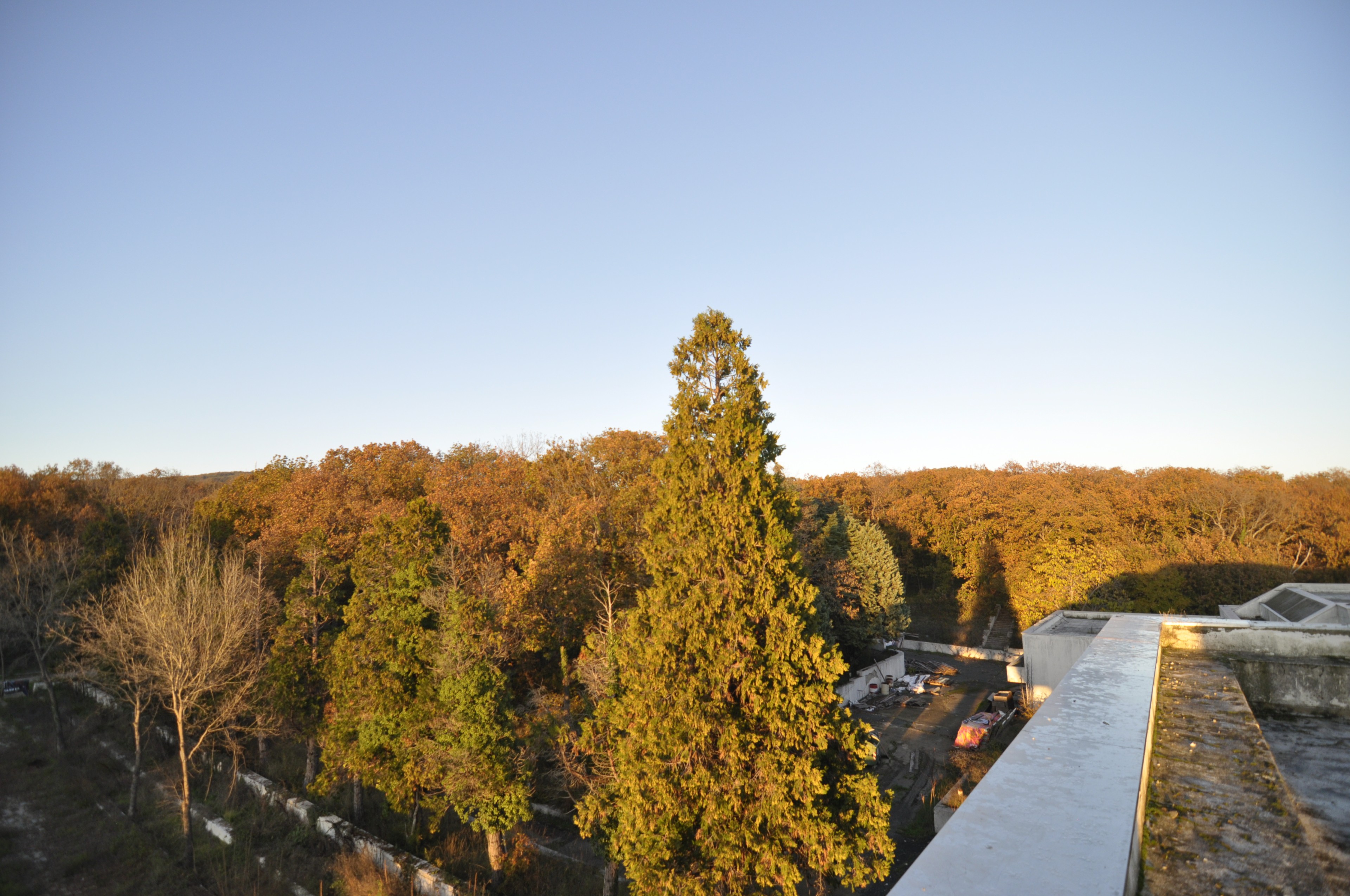 Scoutaround White Logo