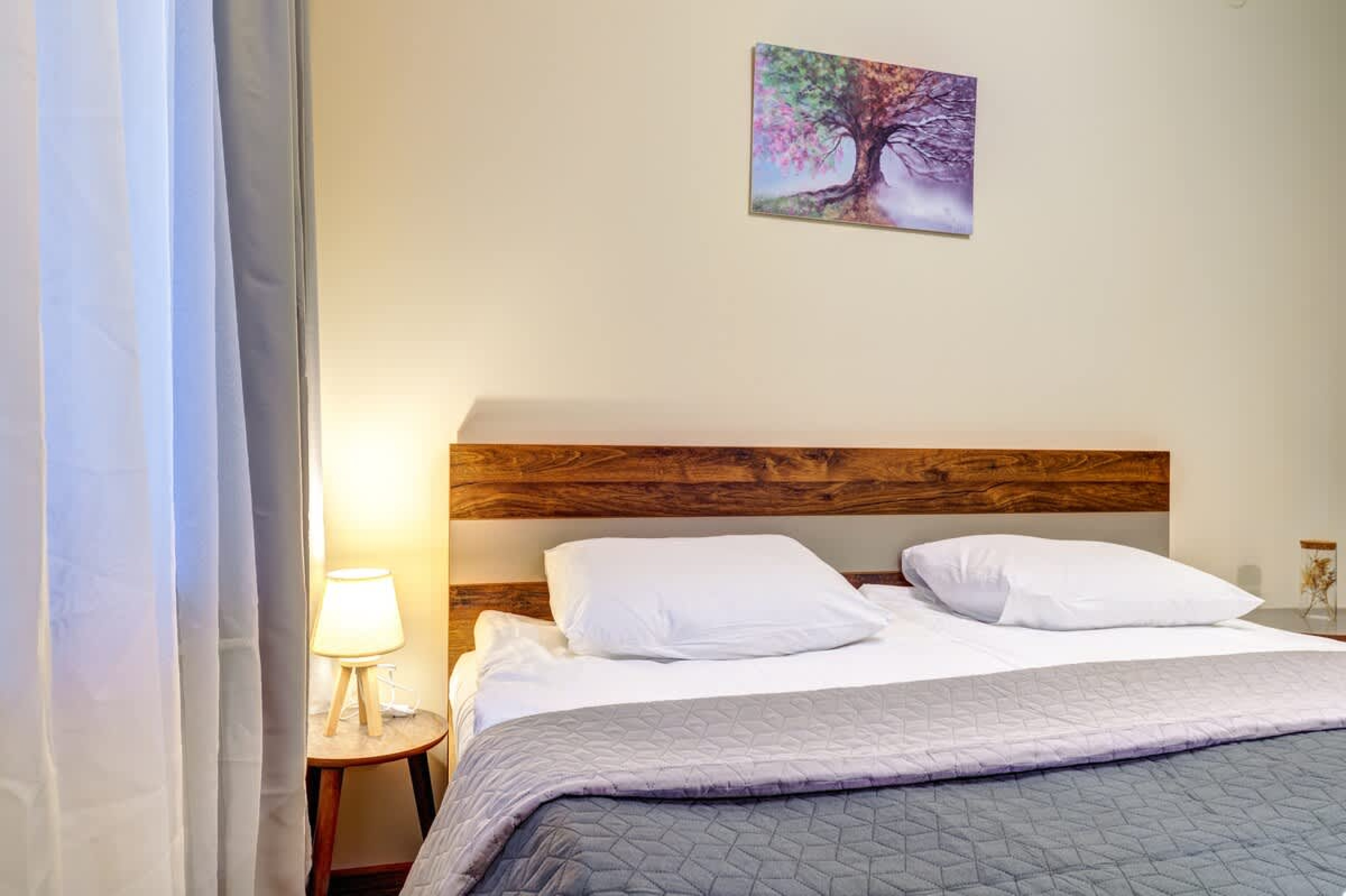 Scoutaround White Logo