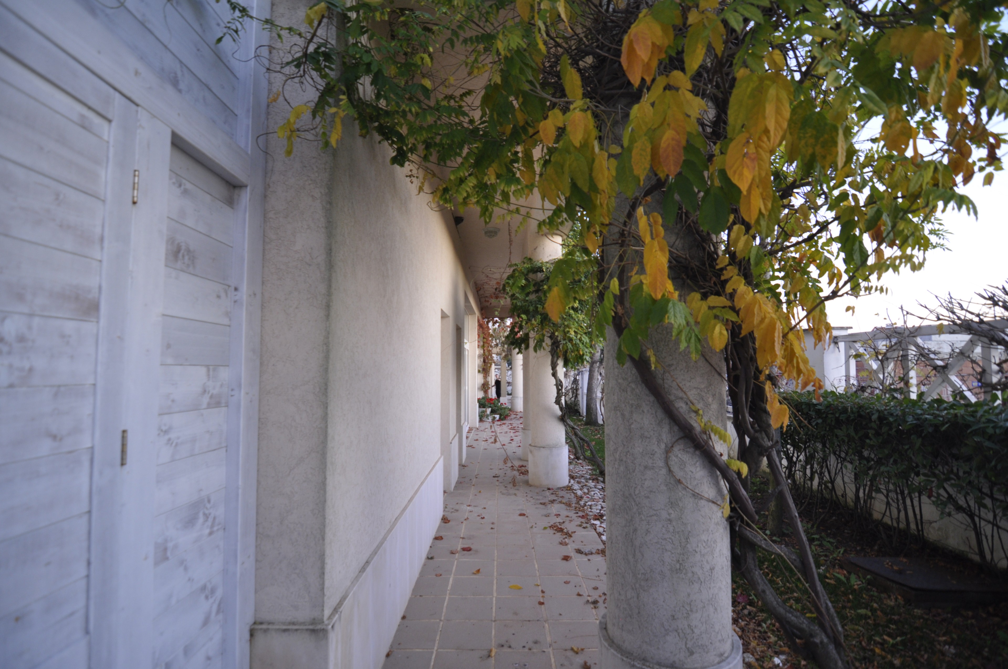 Scoutaround White Logo