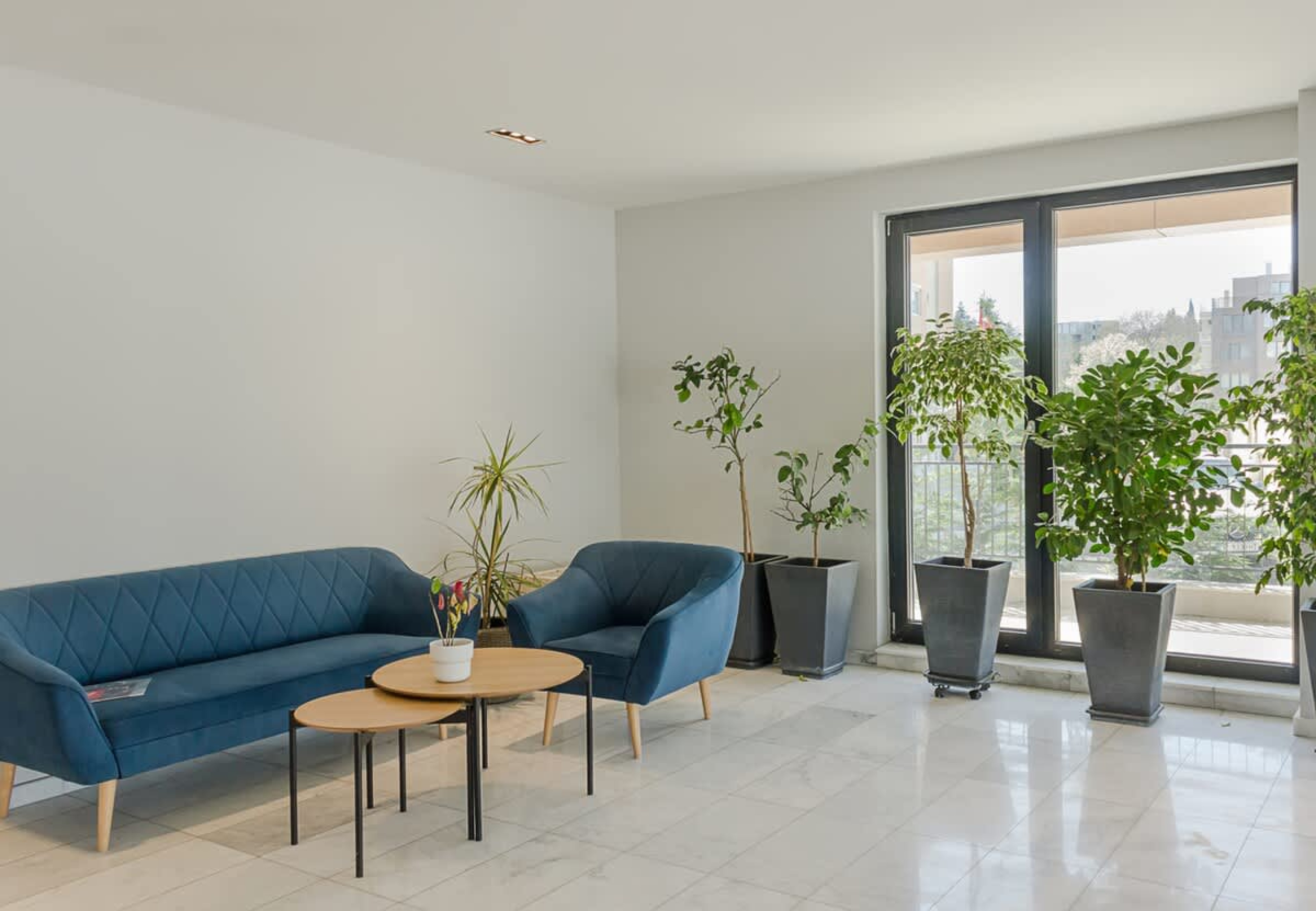 Scoutaround White Logo