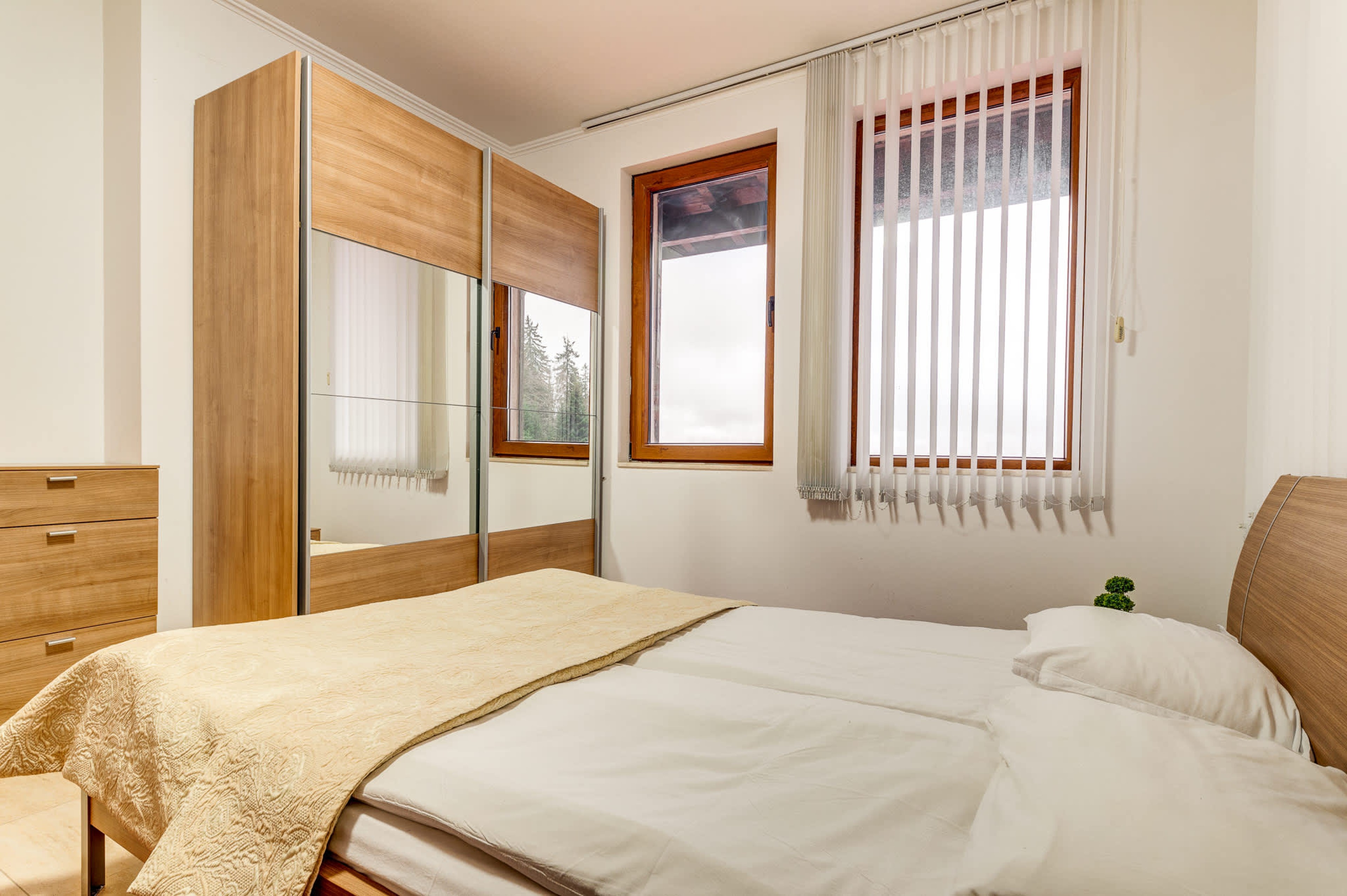 Scoutaround White Logo