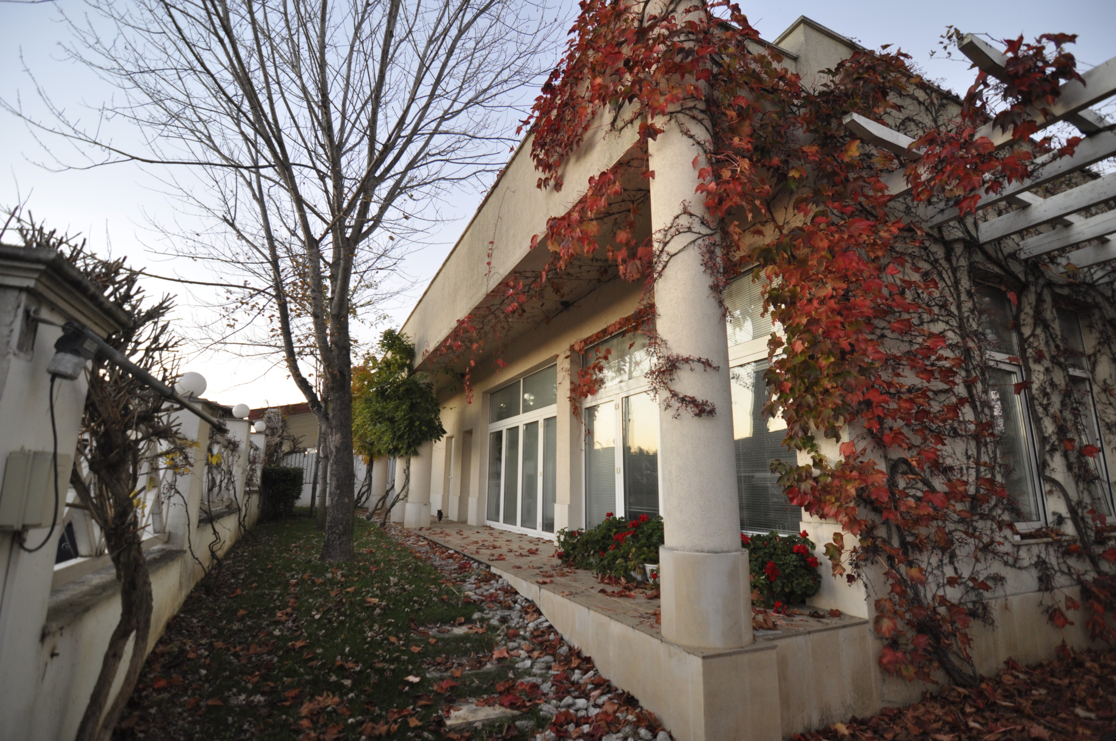 Scoutaround White Logo