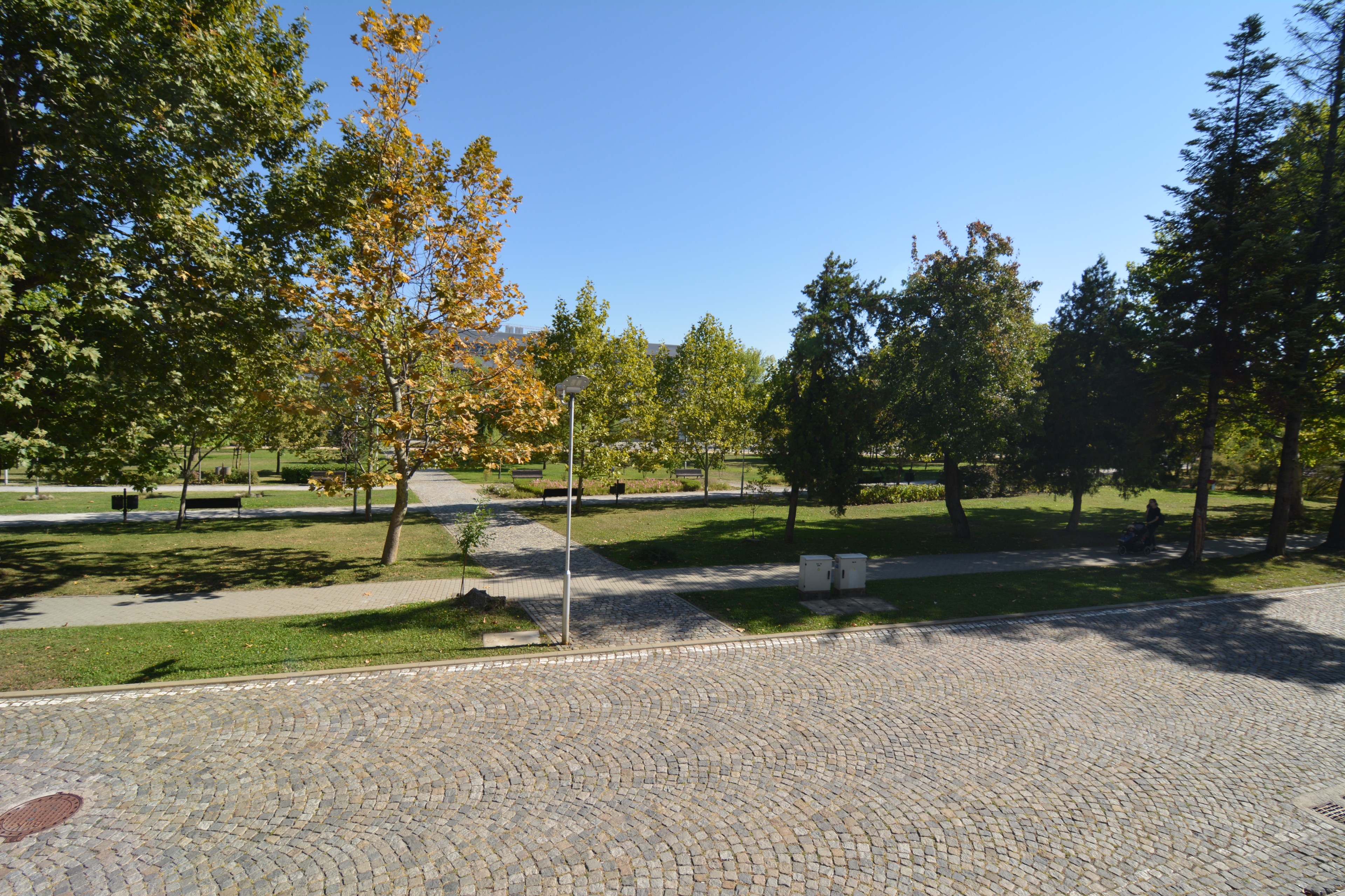 Scoutaround White Logo