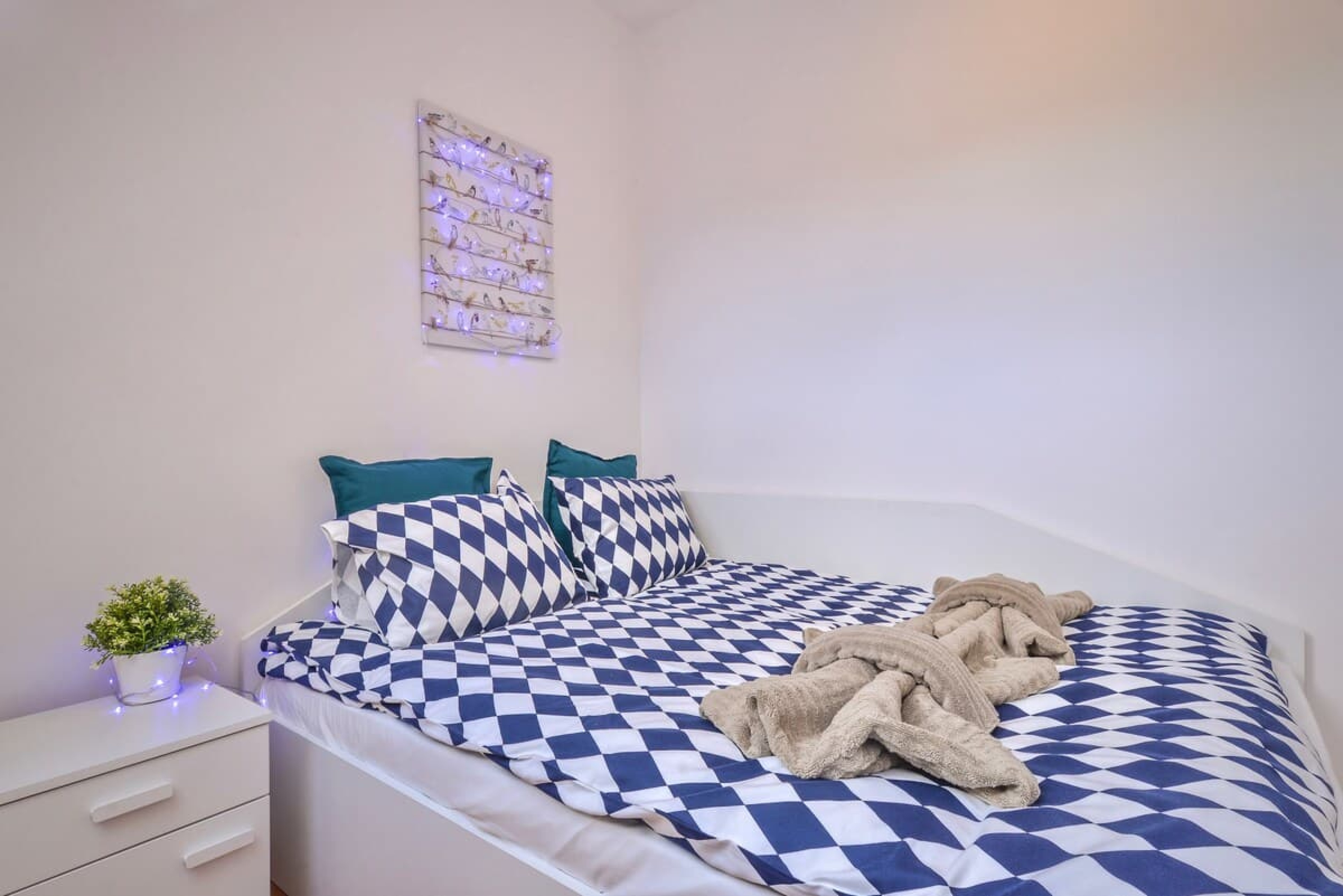 Scoutaround White Logo