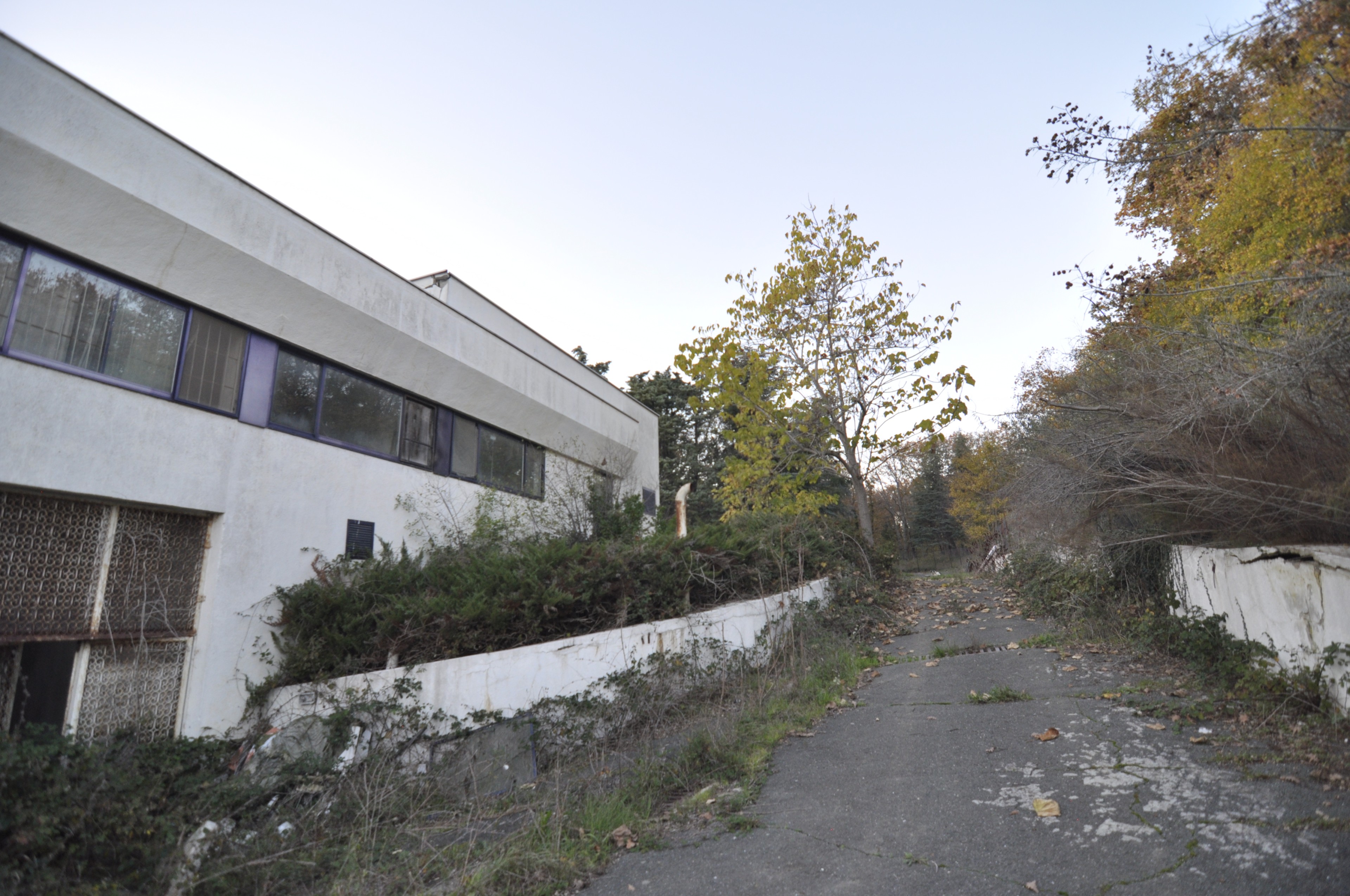 Scoutaround White Logo