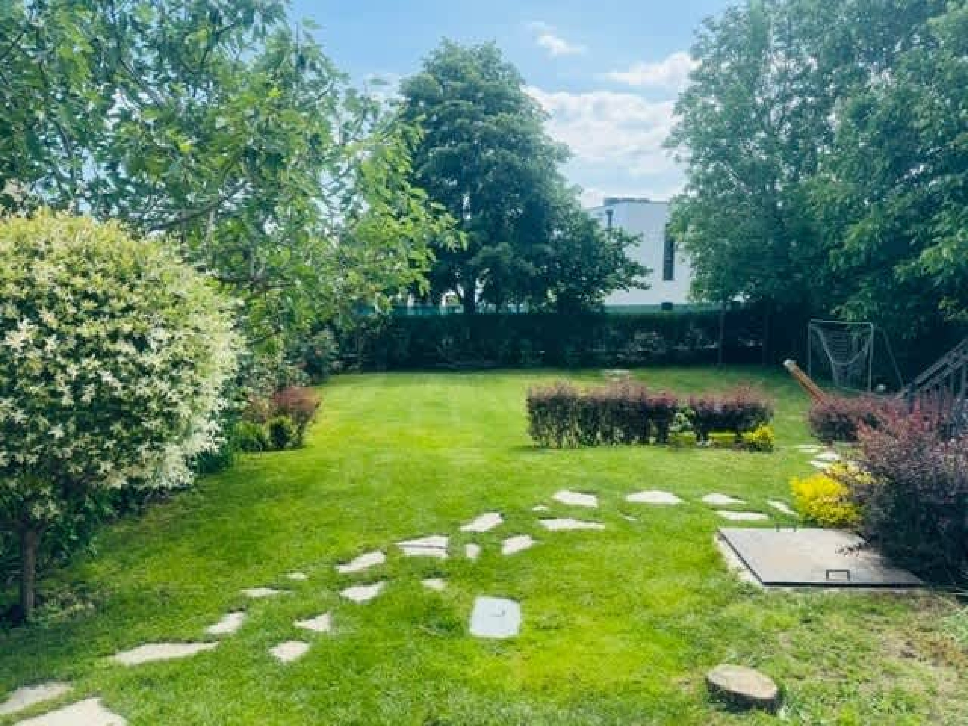 Scoutaround White Logo