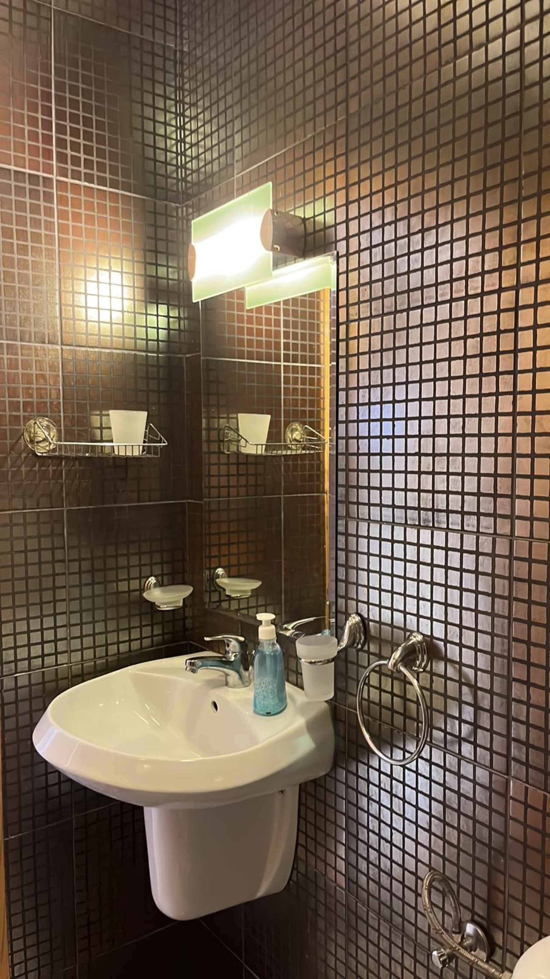 Scoutaround White Logo