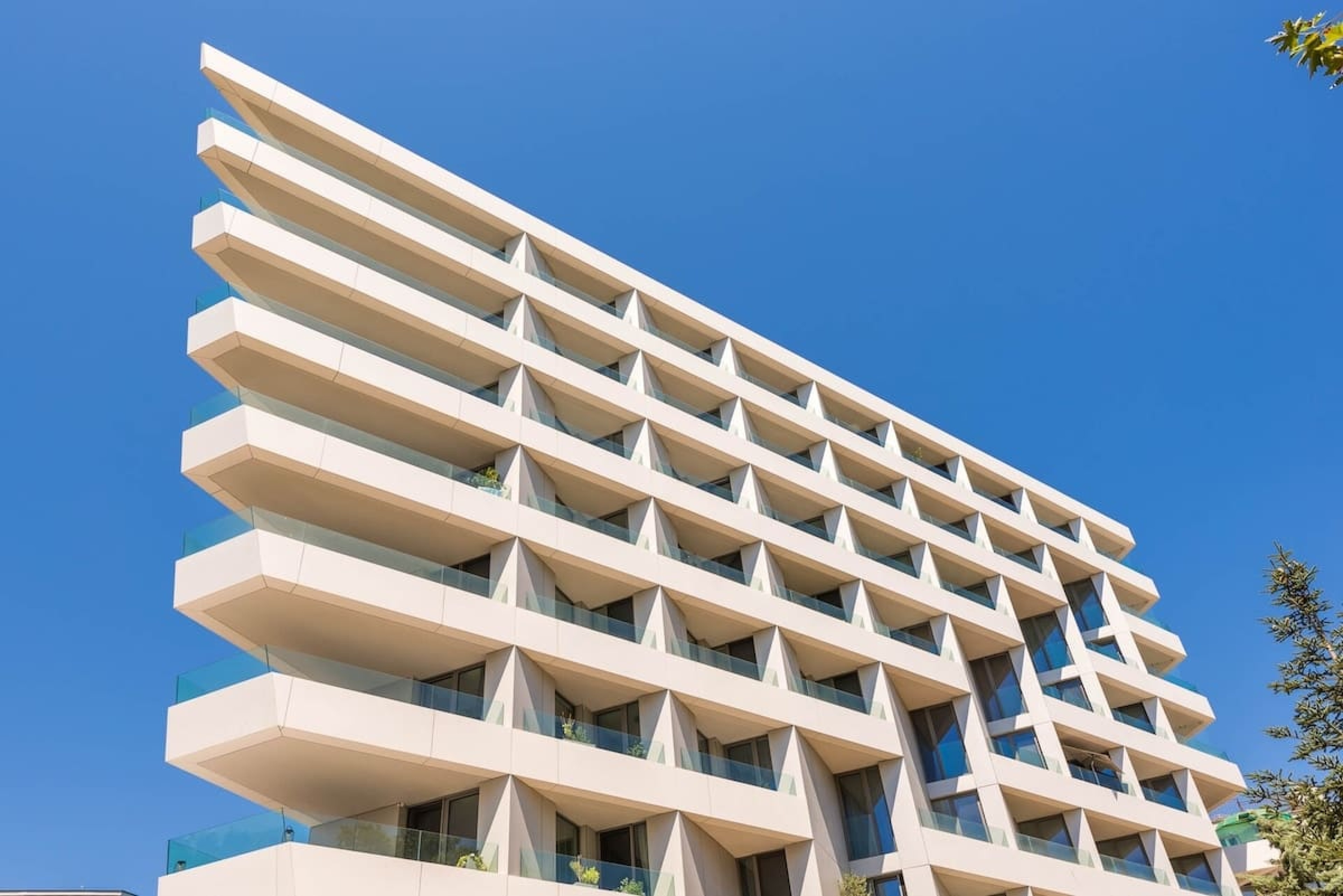 Scoutaround White Logo