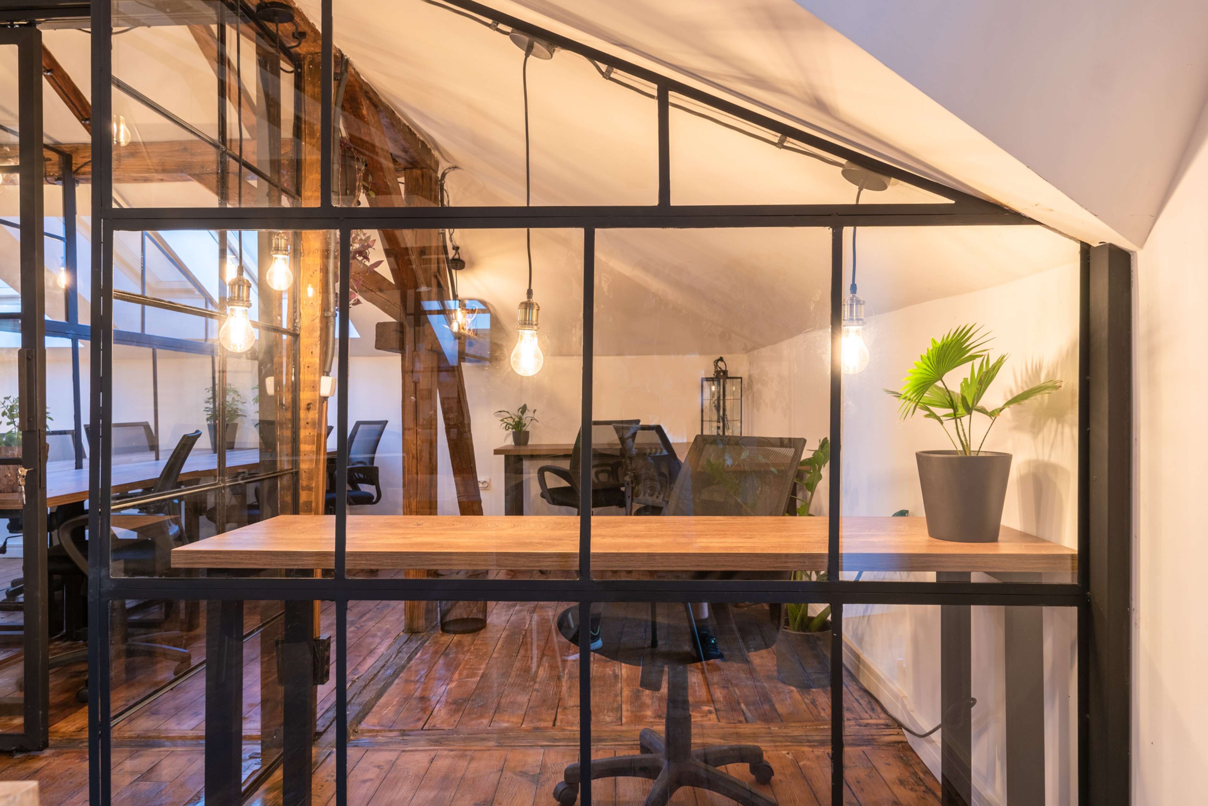 Scoutaround White Logo