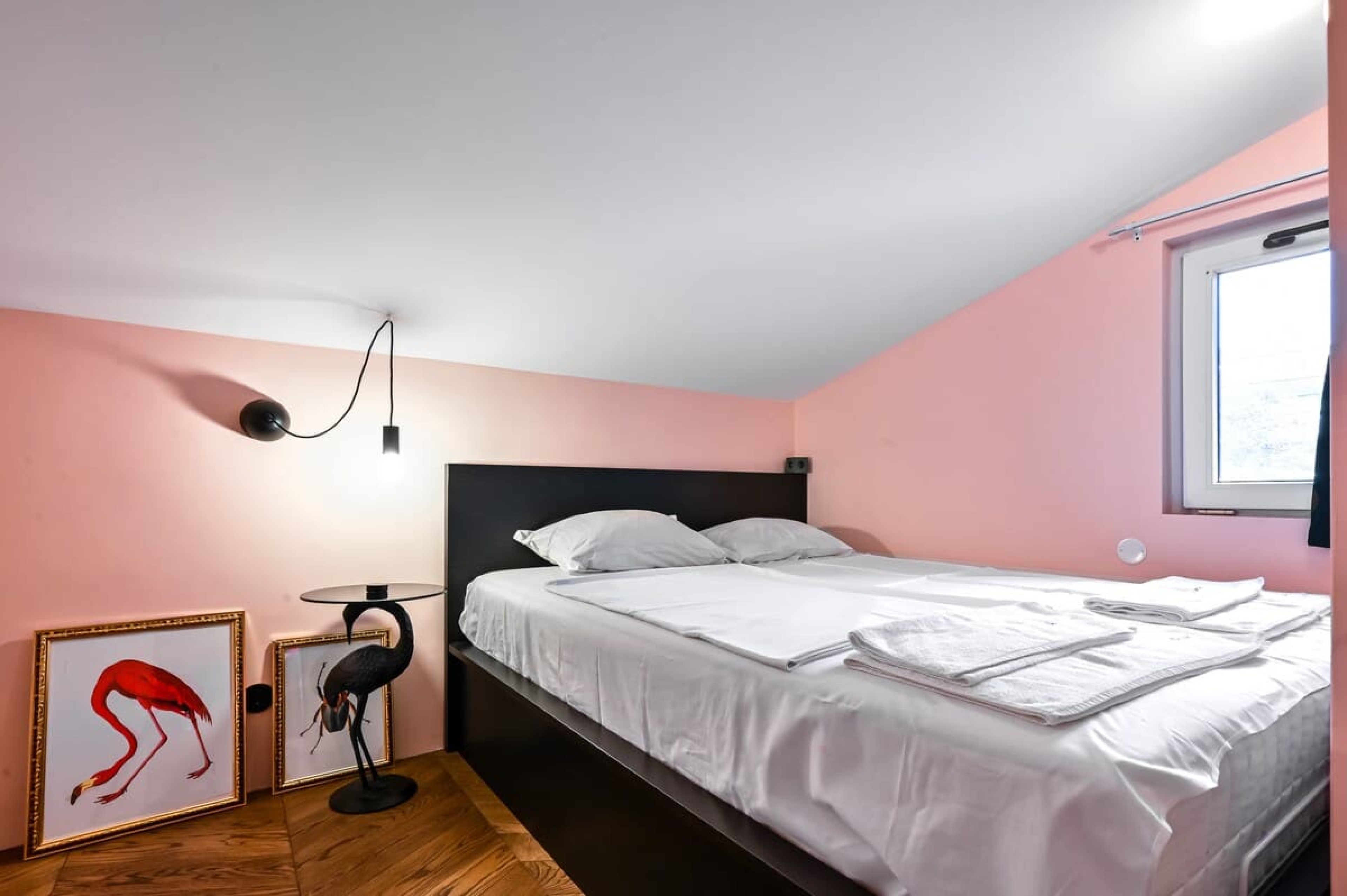 Scoutaround White Logo