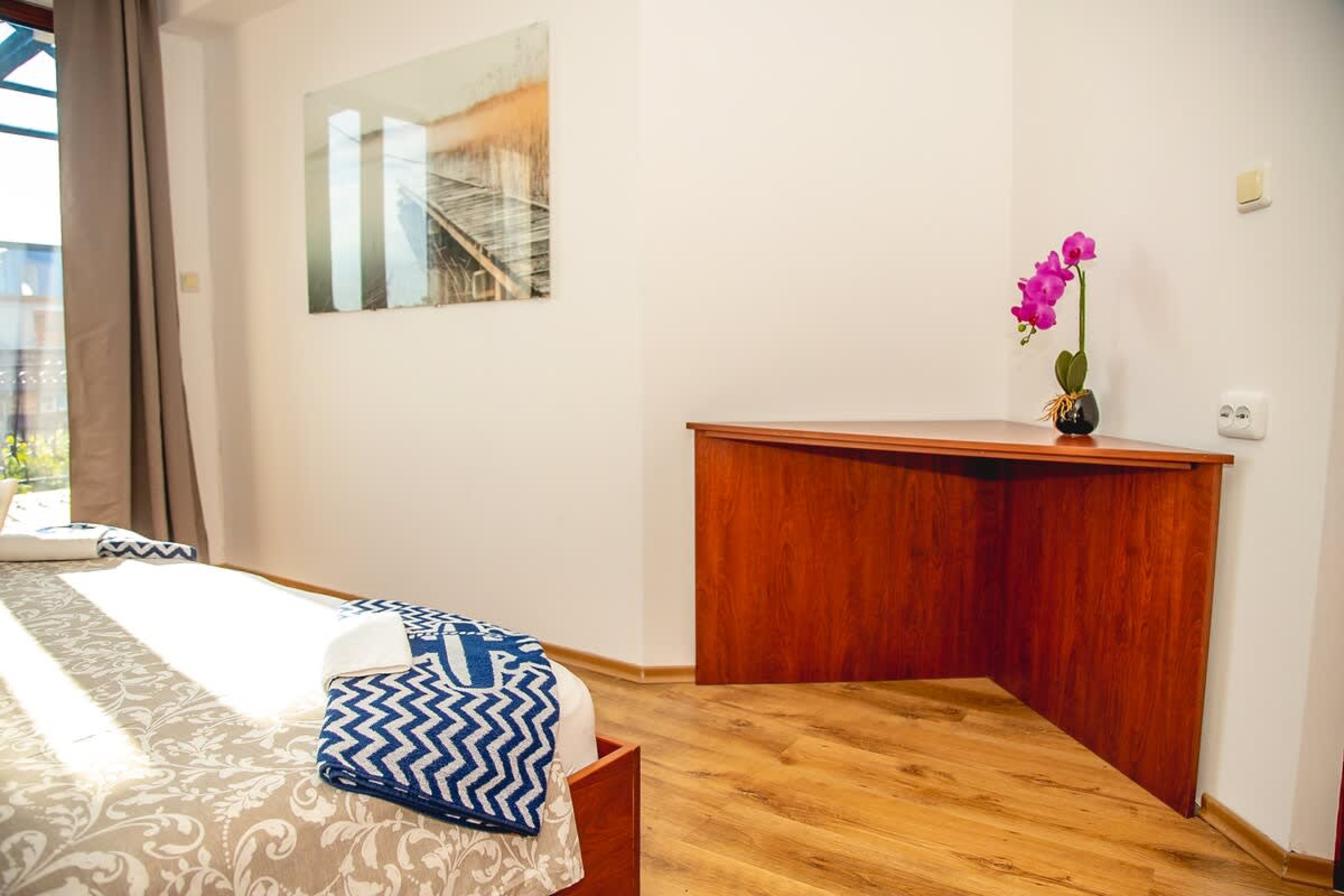 Scoutaround White Logo