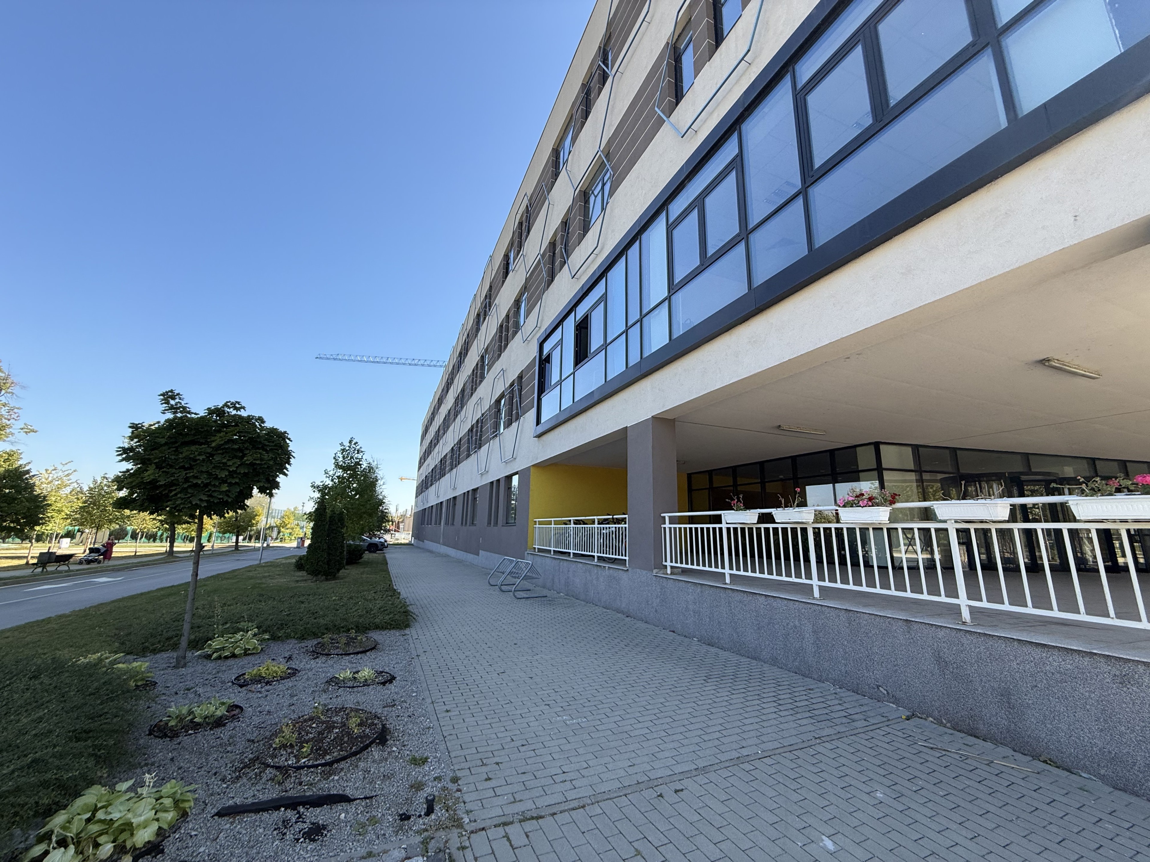 Scoutaround White Logo