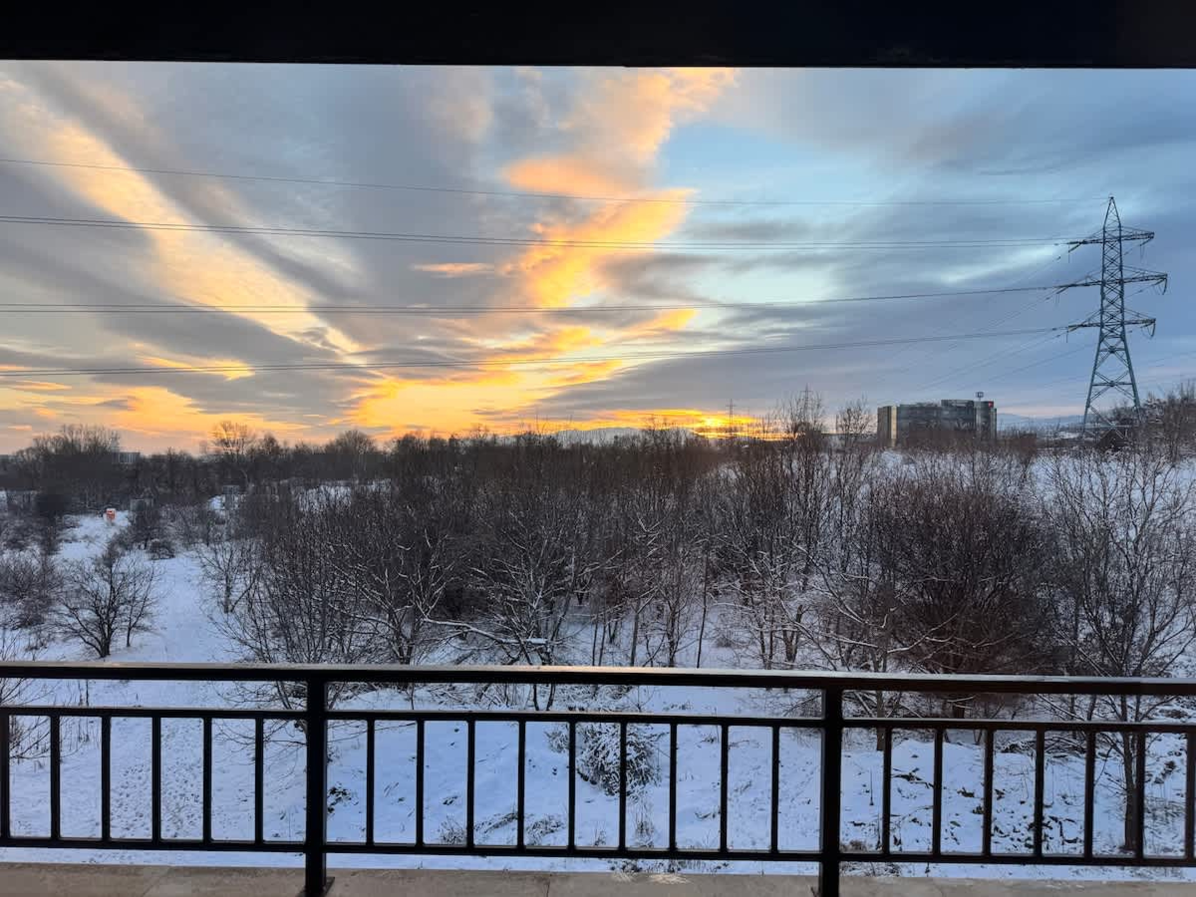 Scoutaround White Logo