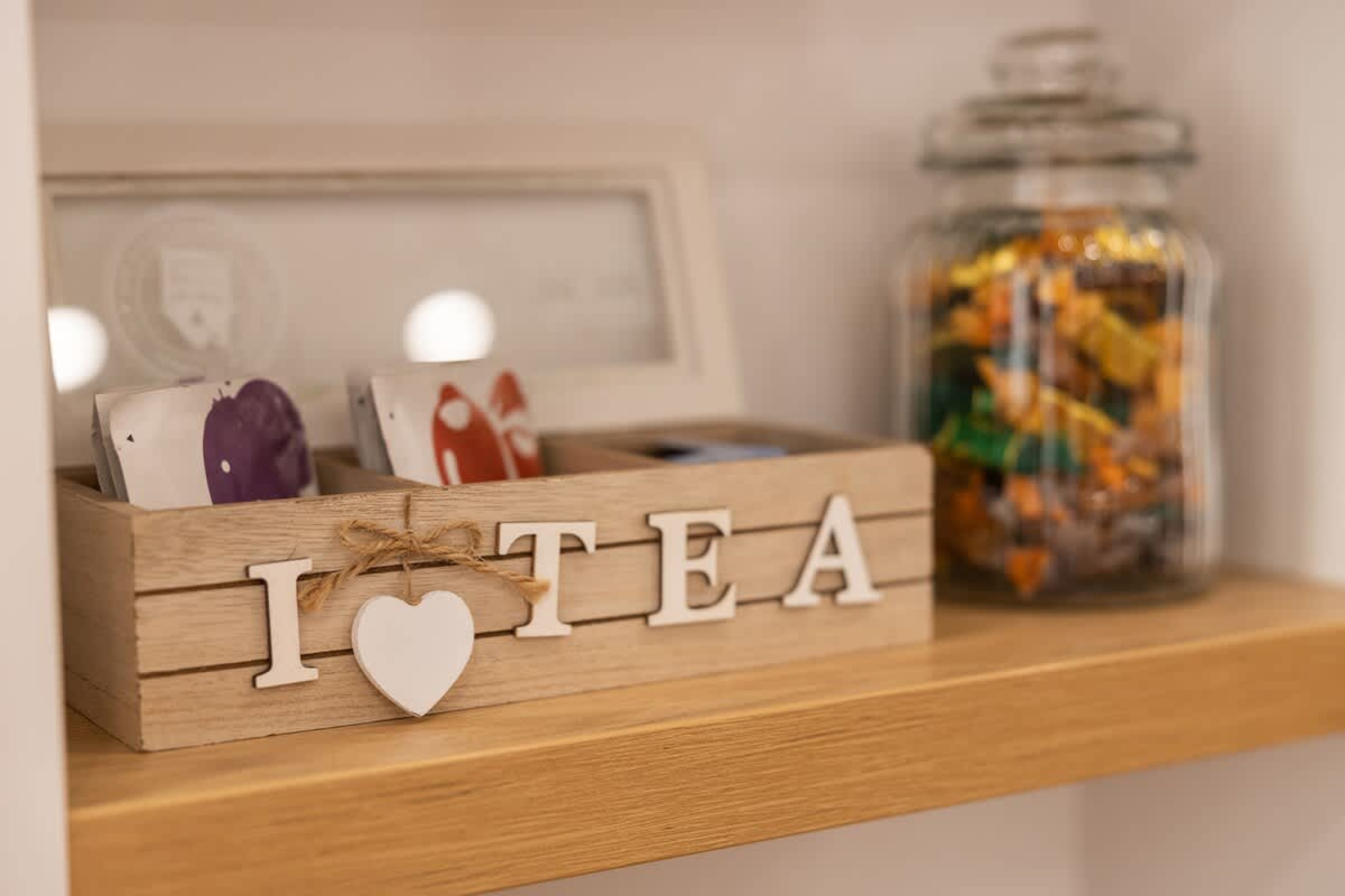 Scoutaround White Logo