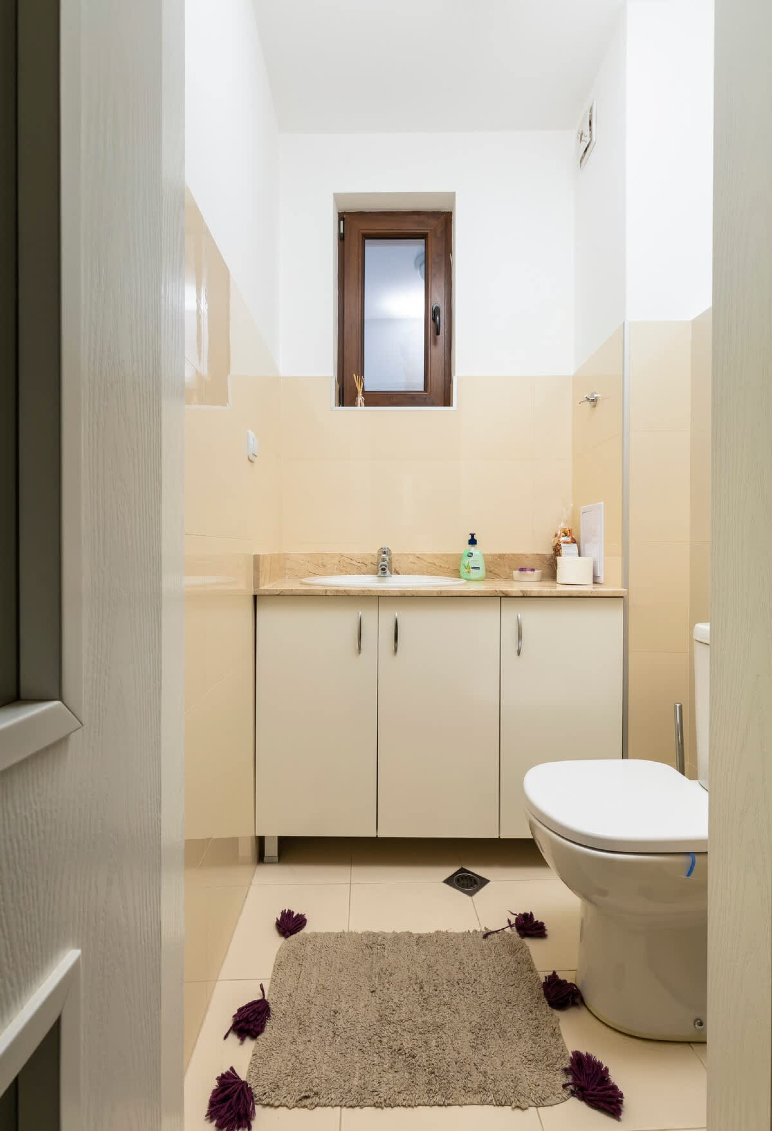 Scoutaround White Logo