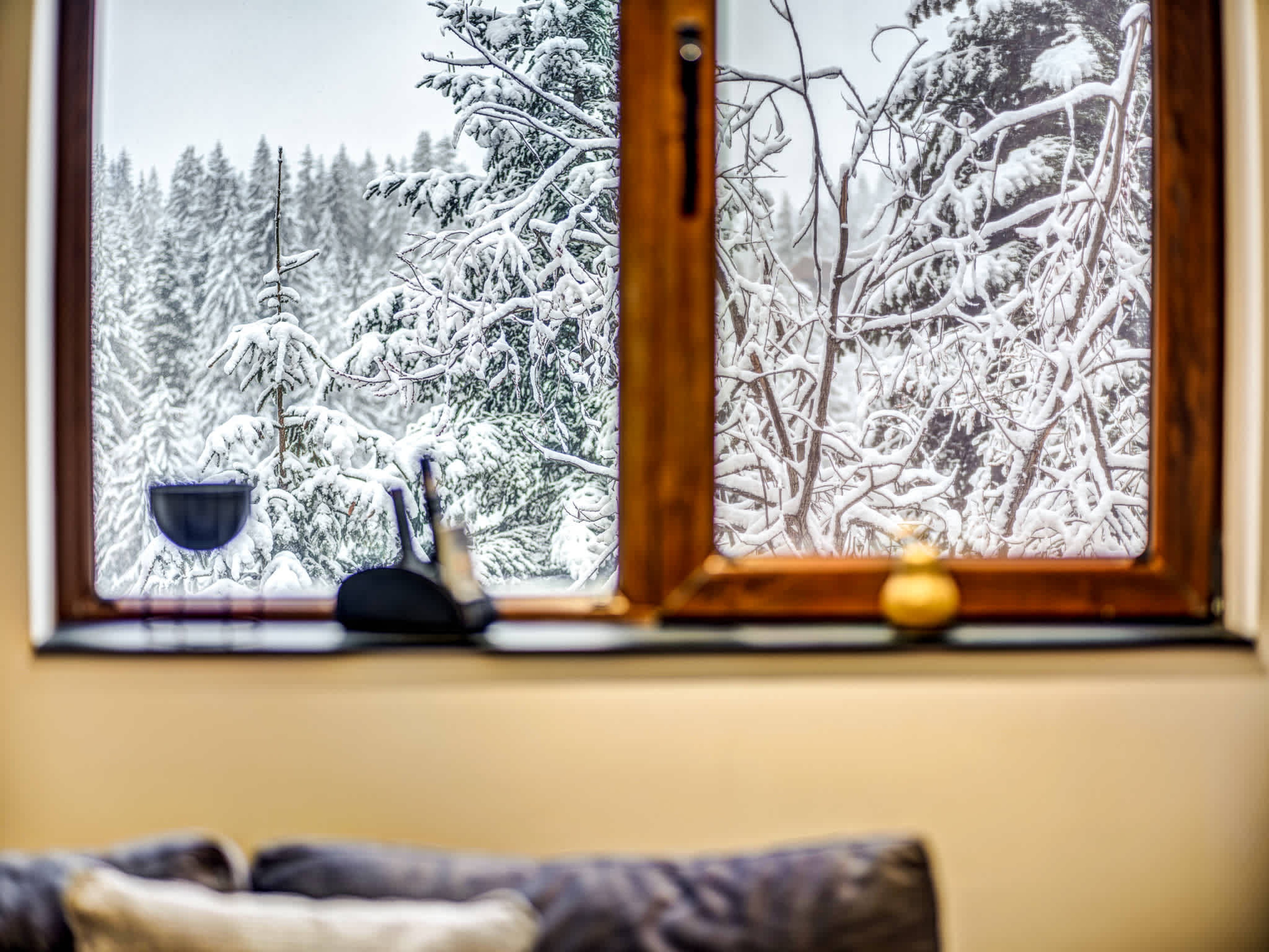 1BD Mountain Getaway in Pamporovo with Parking - Photo 31