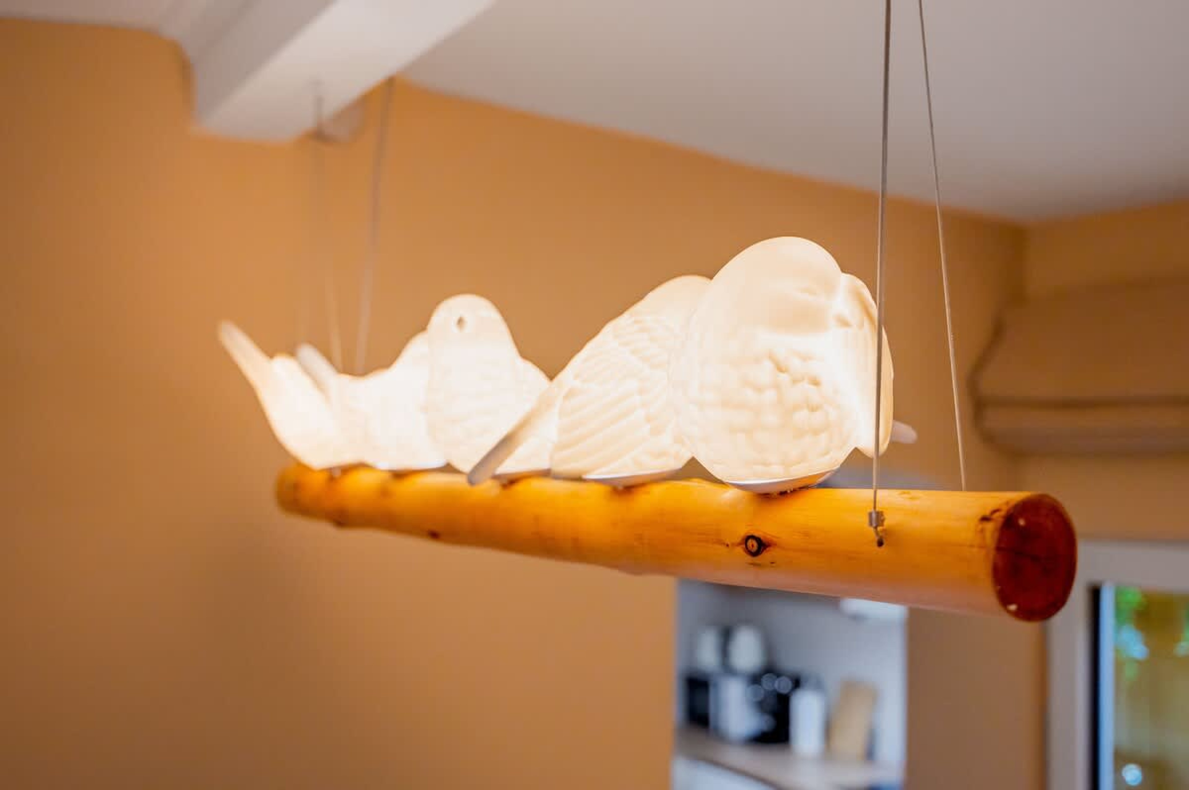 Scoutaround White Logo