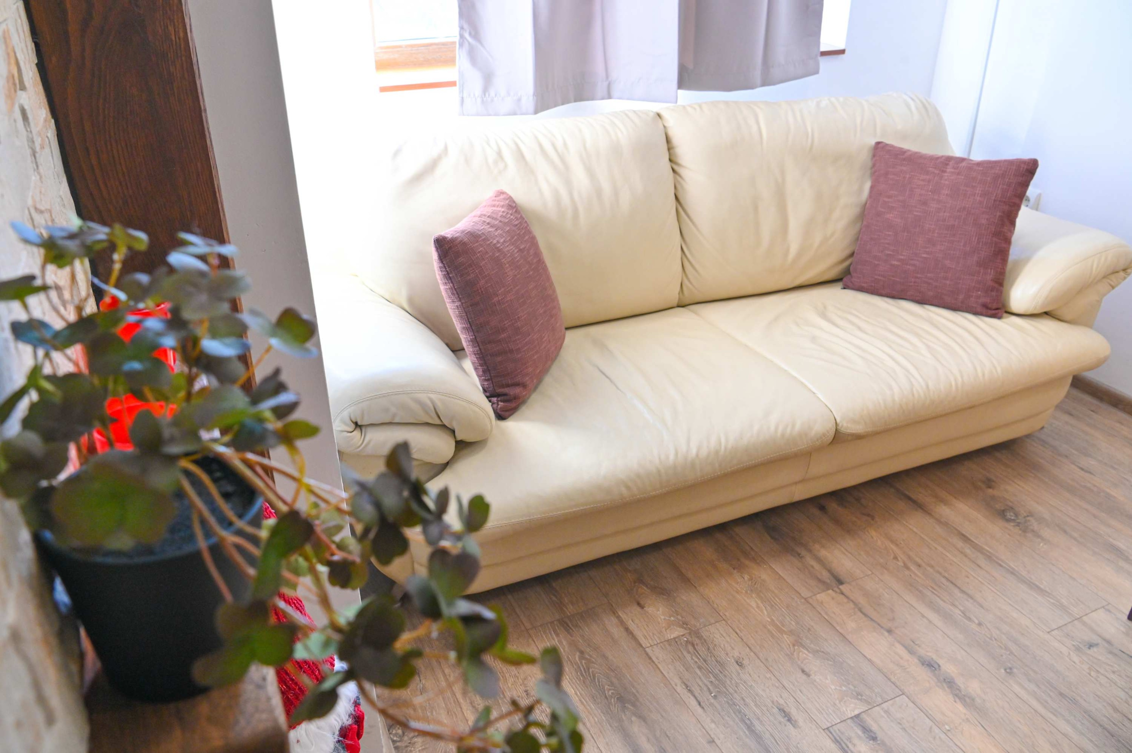 Scoutaround White Logo