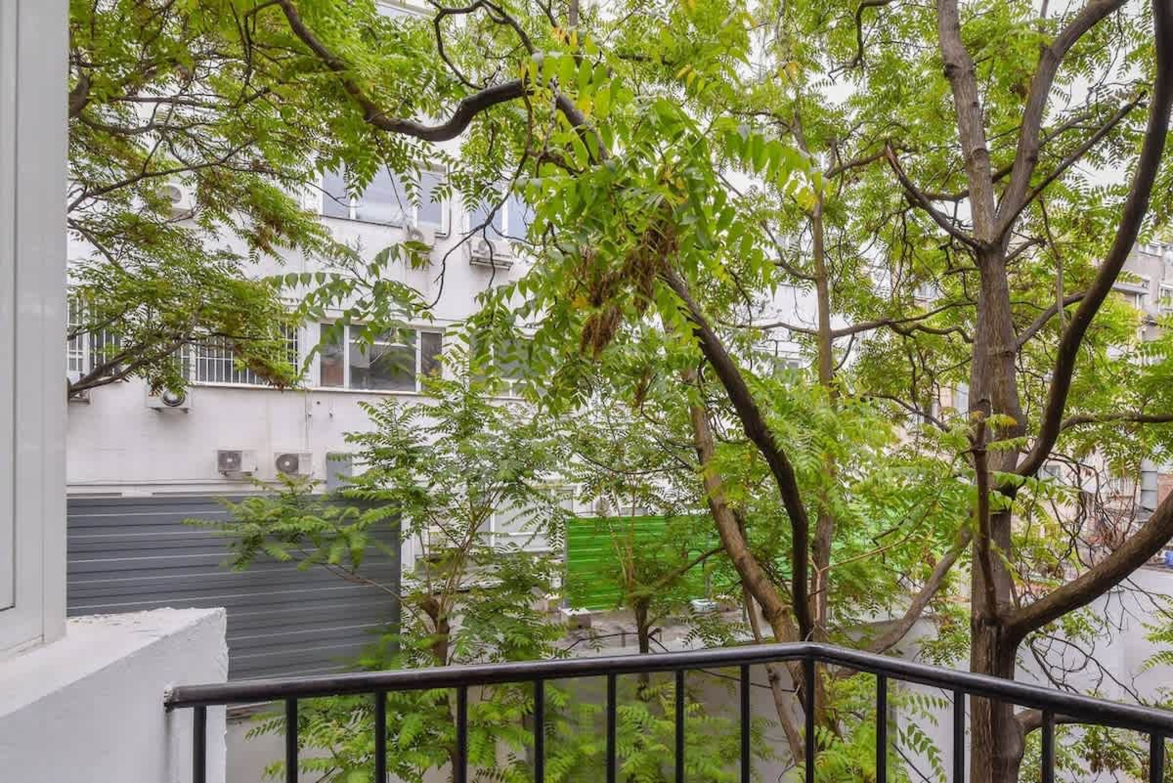 Scoutaround White Logo