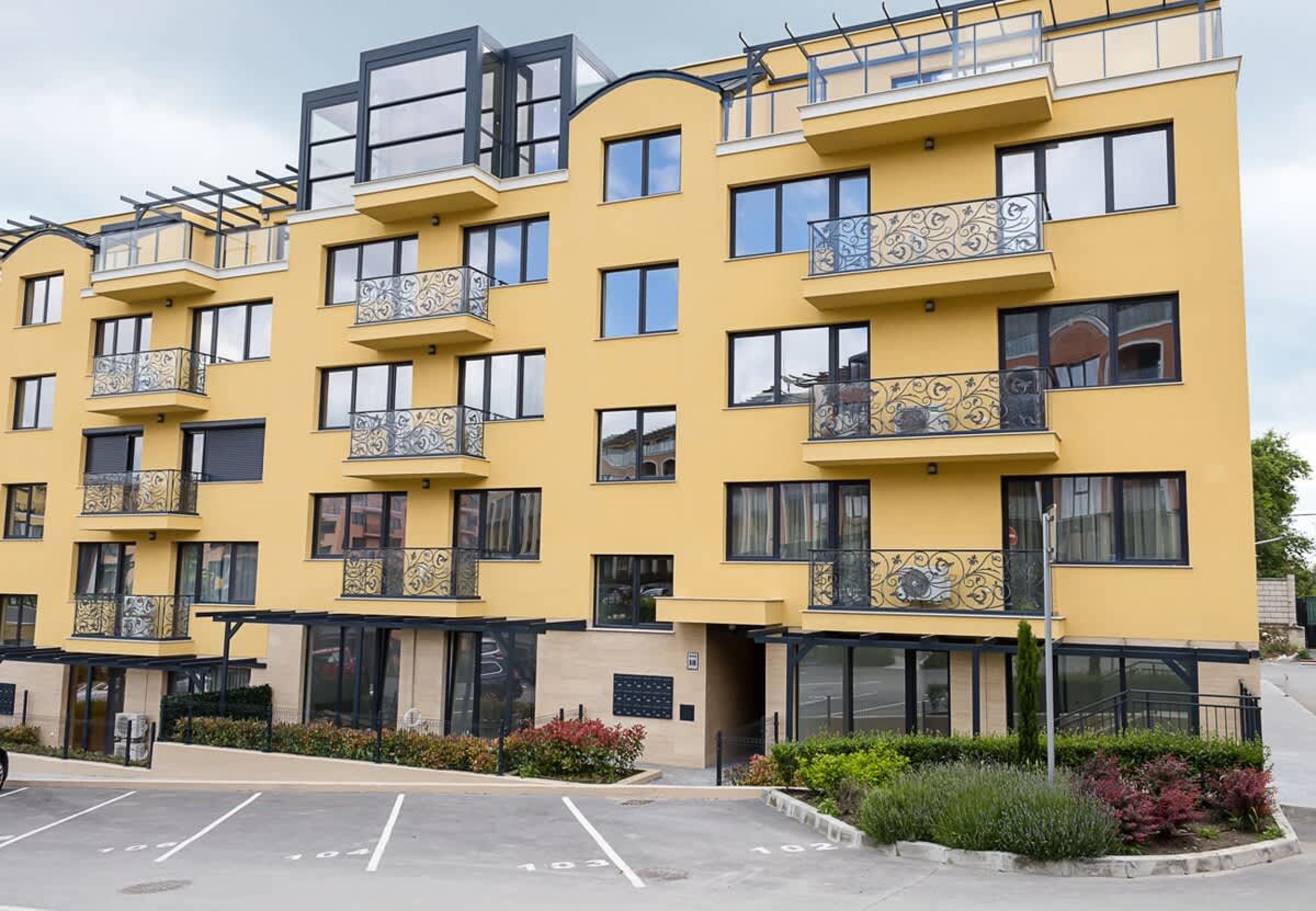 Scoutaround White Logo