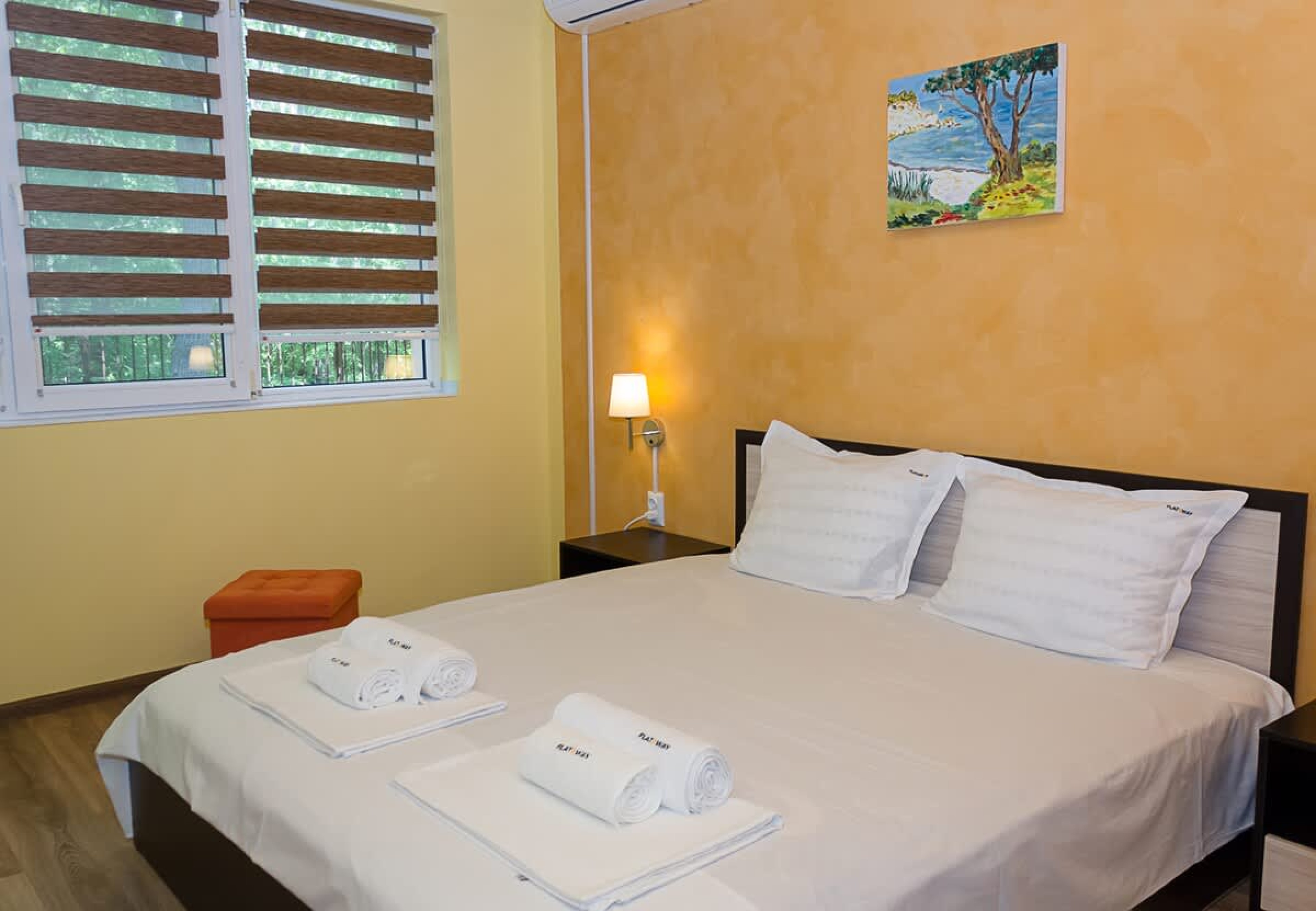 Scoutaround White Logo