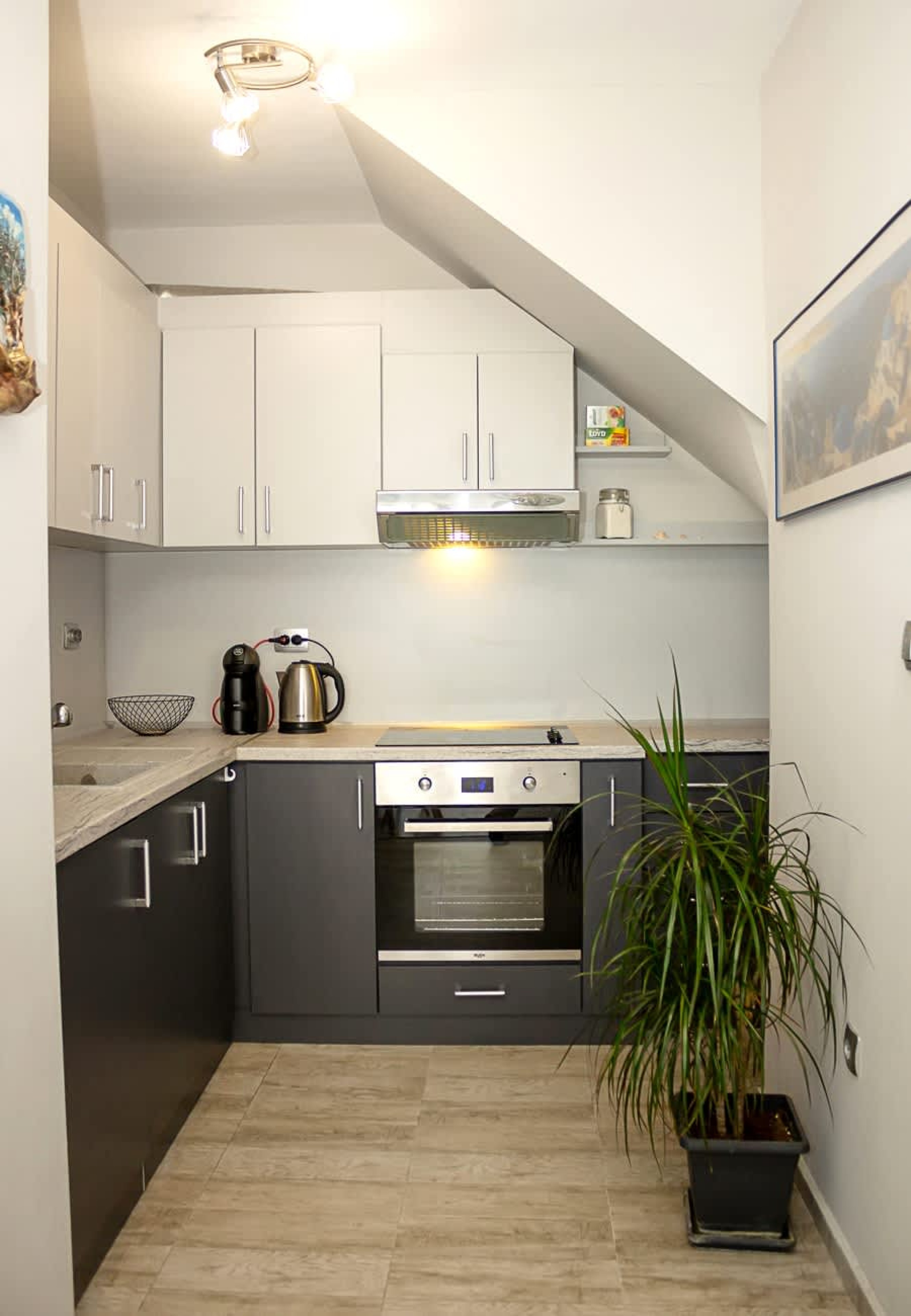 Scoutaround White Logo