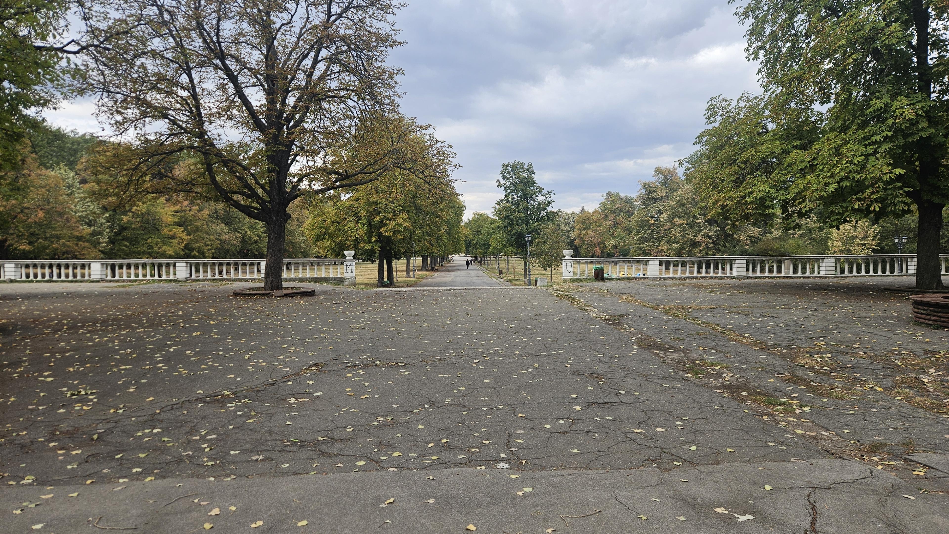 Fall